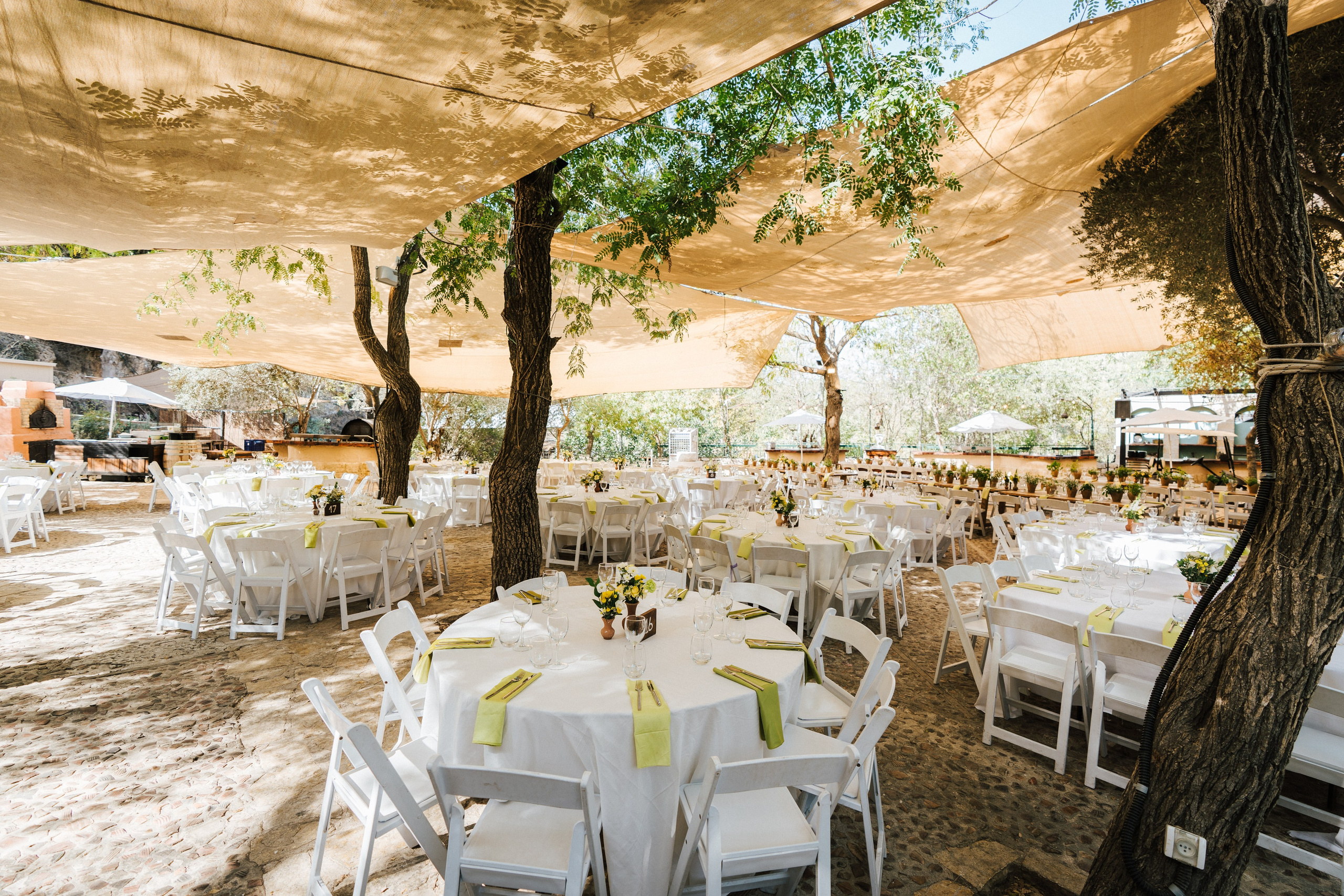 Hadas and Omer. Alexnader Selenzyov Wedding Photographer