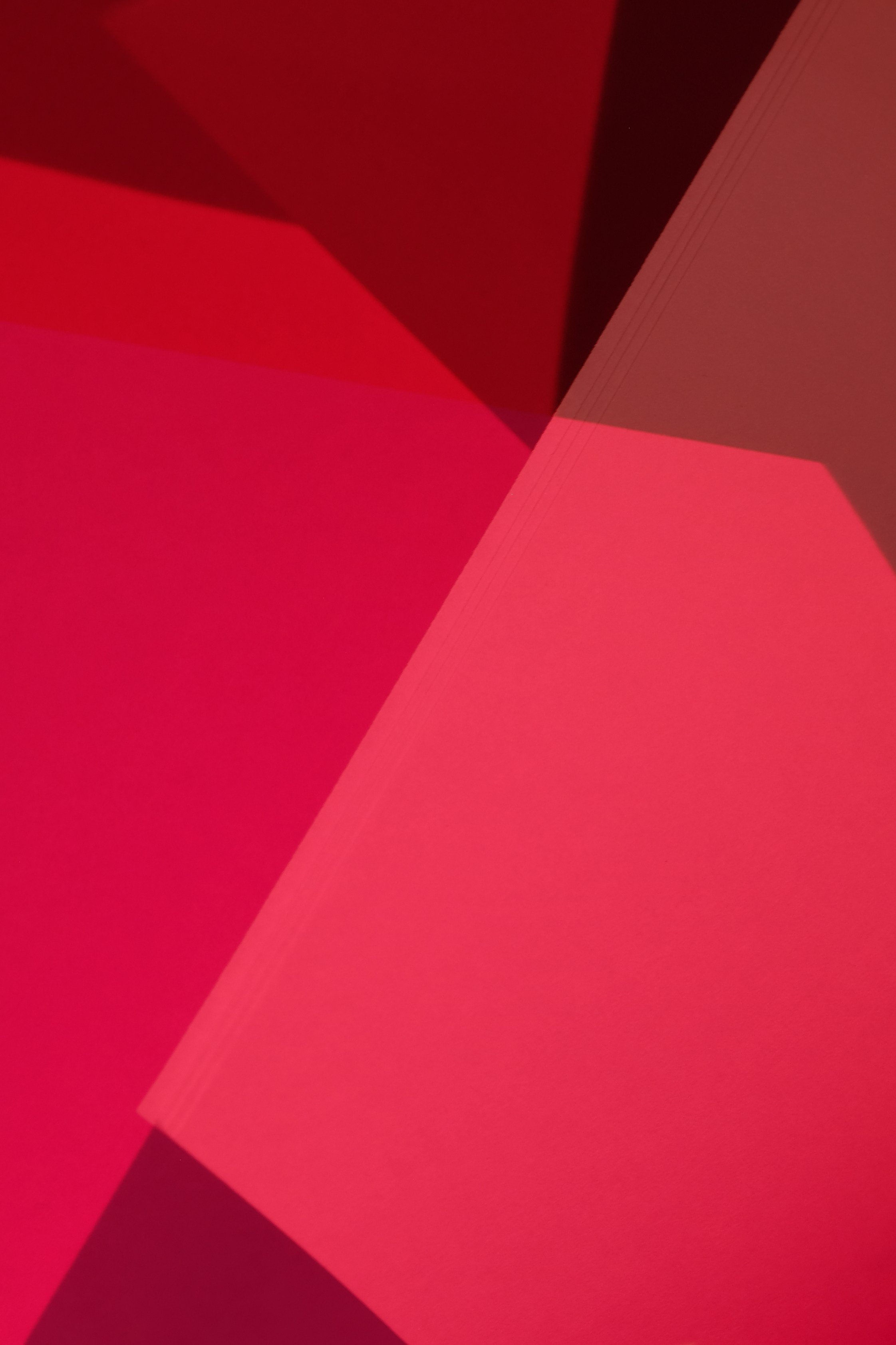 “Color”. Portrait photographer Alena Novgorodtseva