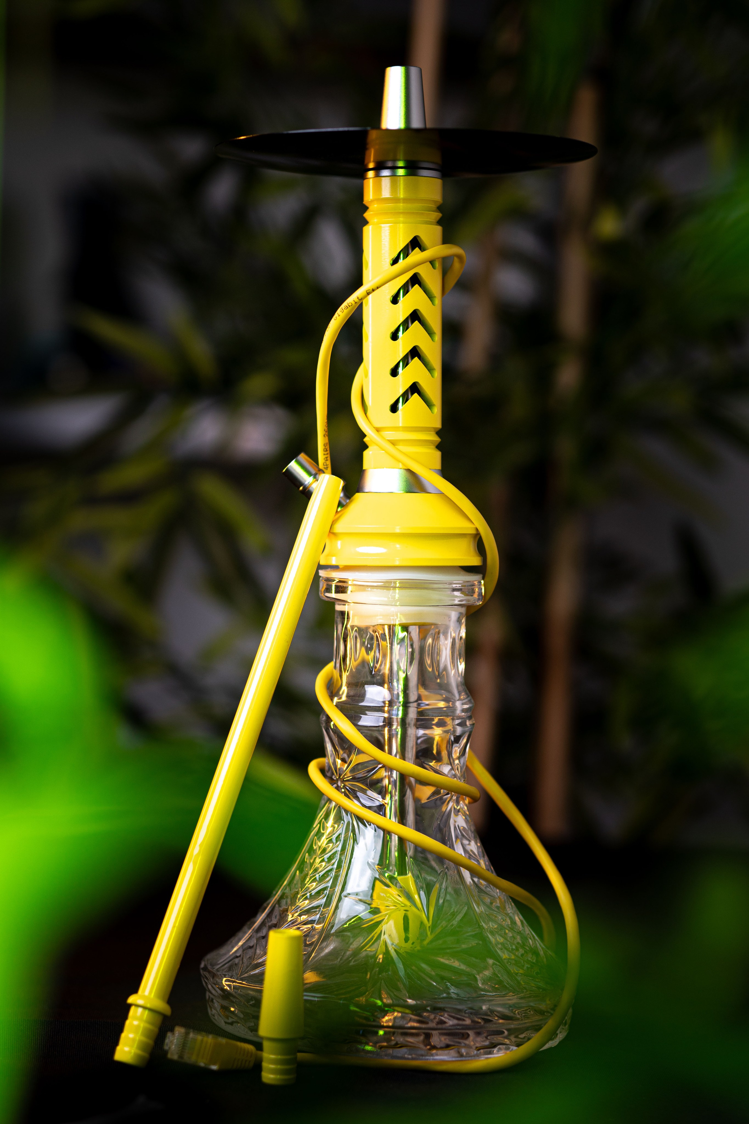 Cachimbas. Baby Beast