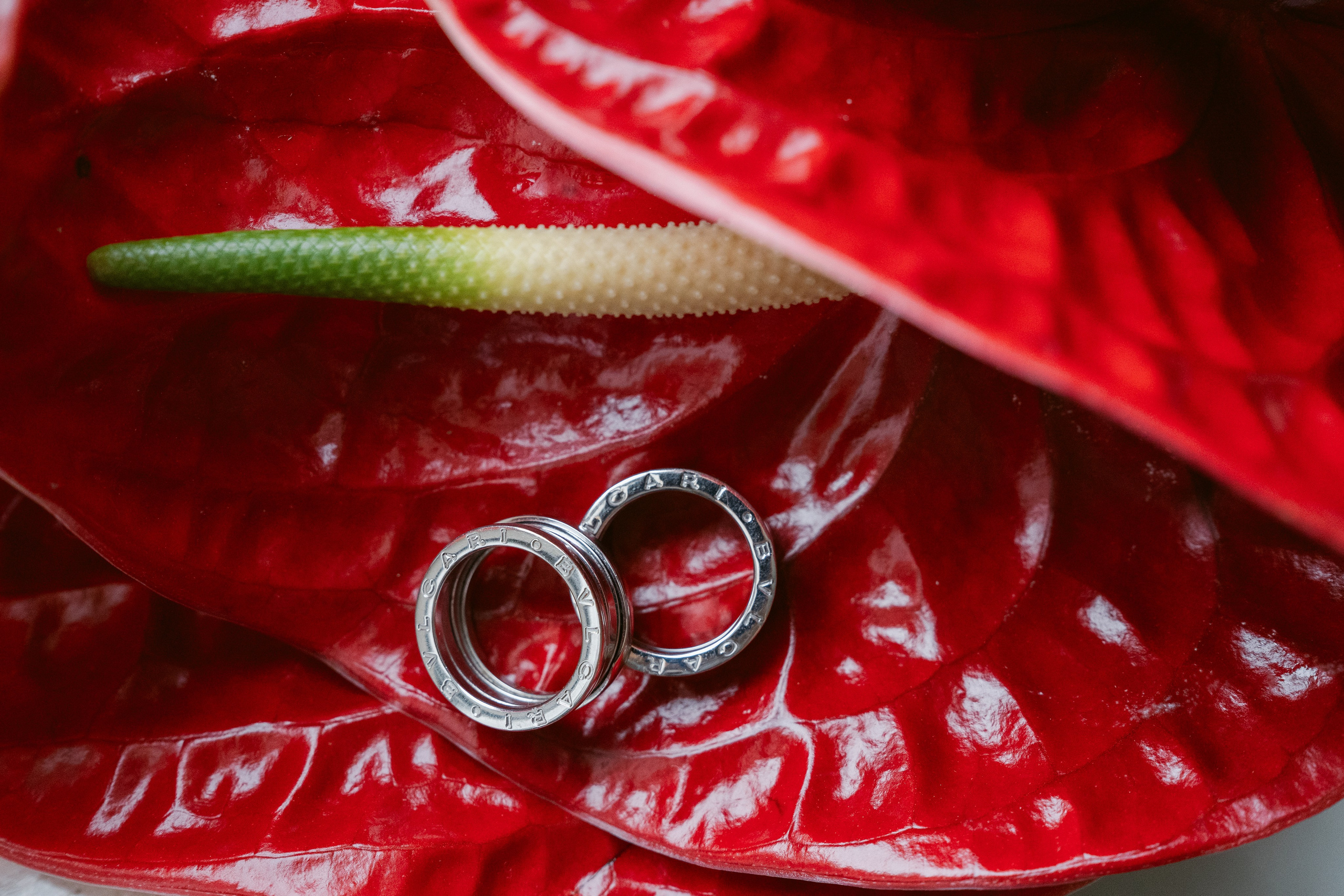 KATE AND CARLO_CASALE MONFERATO. PHOTOGRAPHER IN ITALY