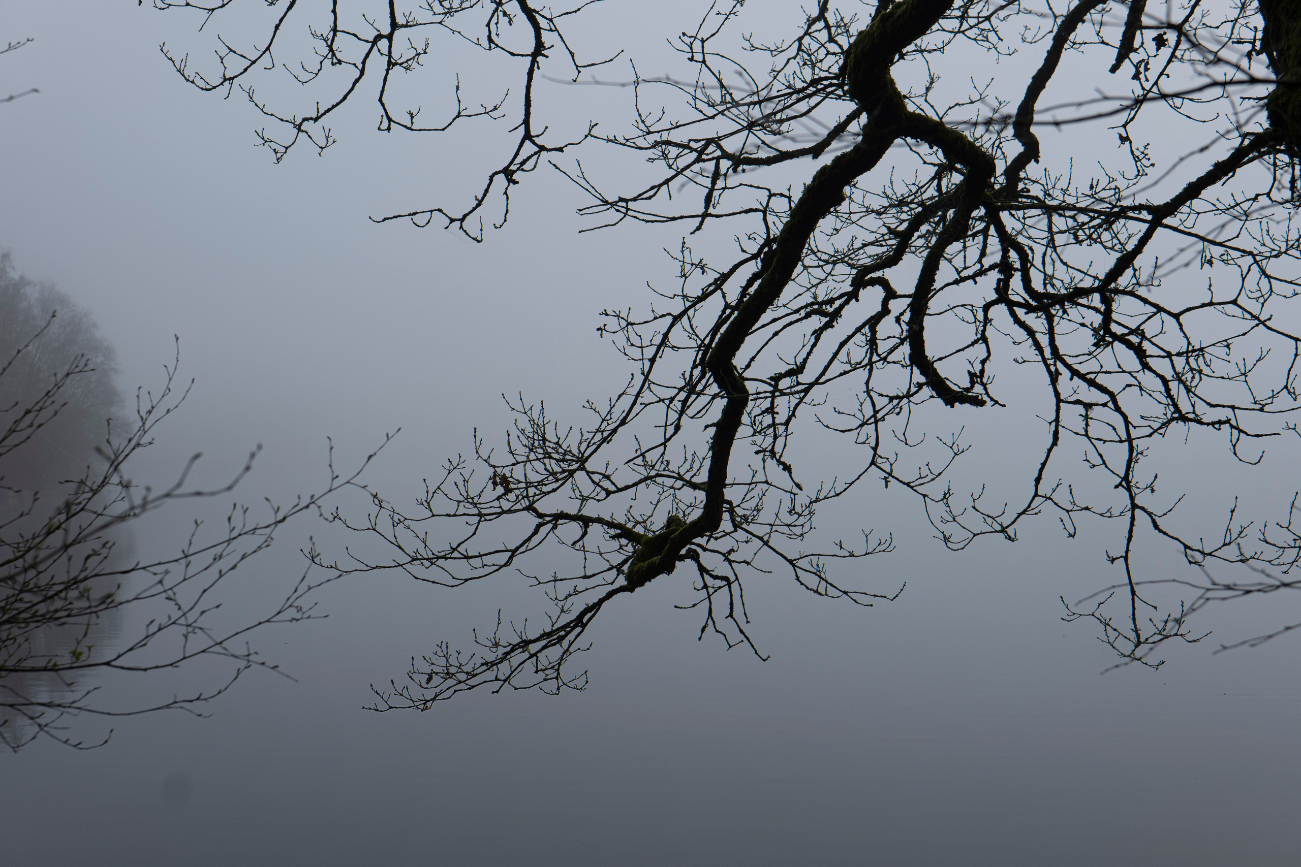 Paysages. Portrais créatifs de familles et individuels, Ile et Vilaine, France