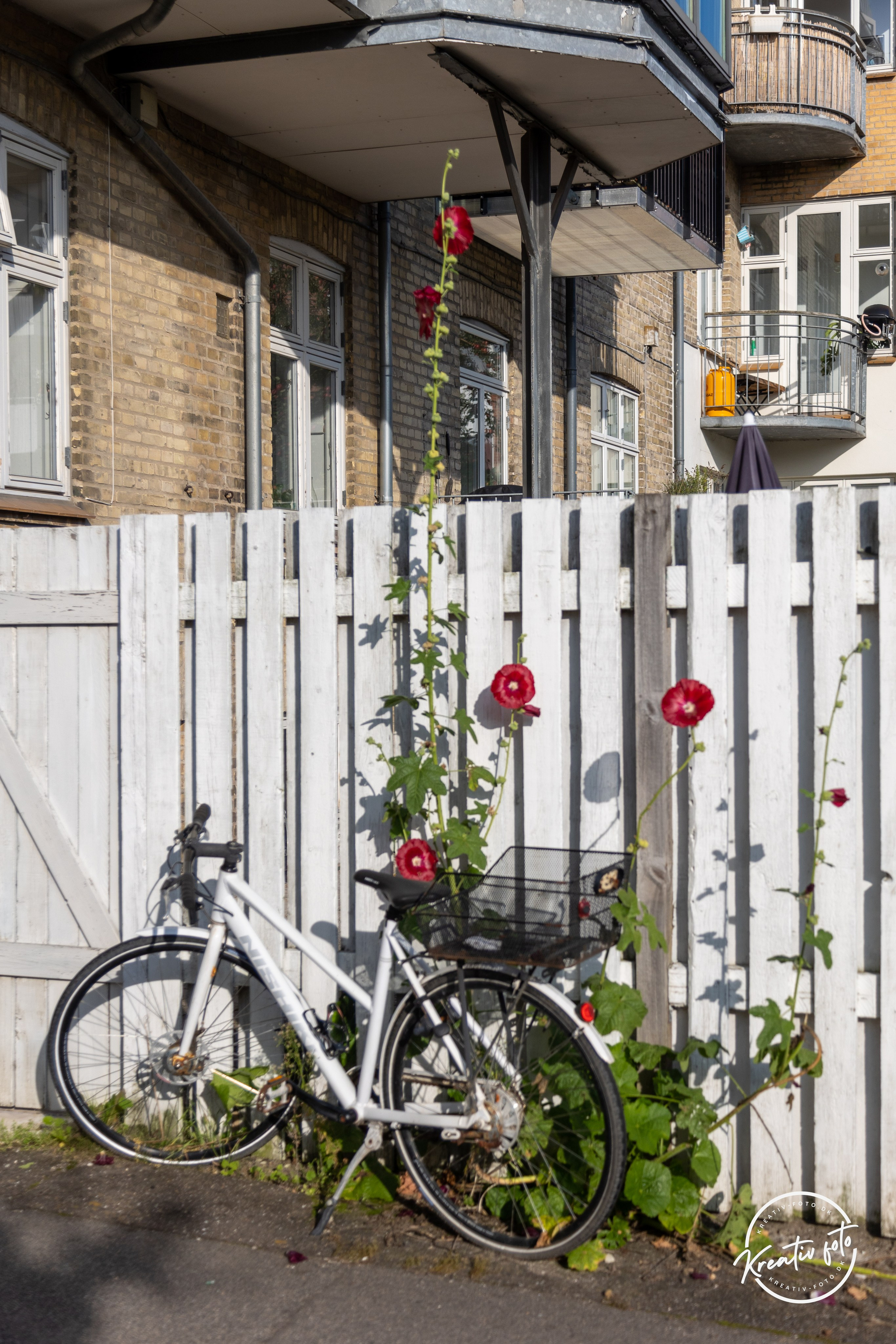Sommer. Fotograf Aarhus | Portrætfoto Århus | Flotte billeder