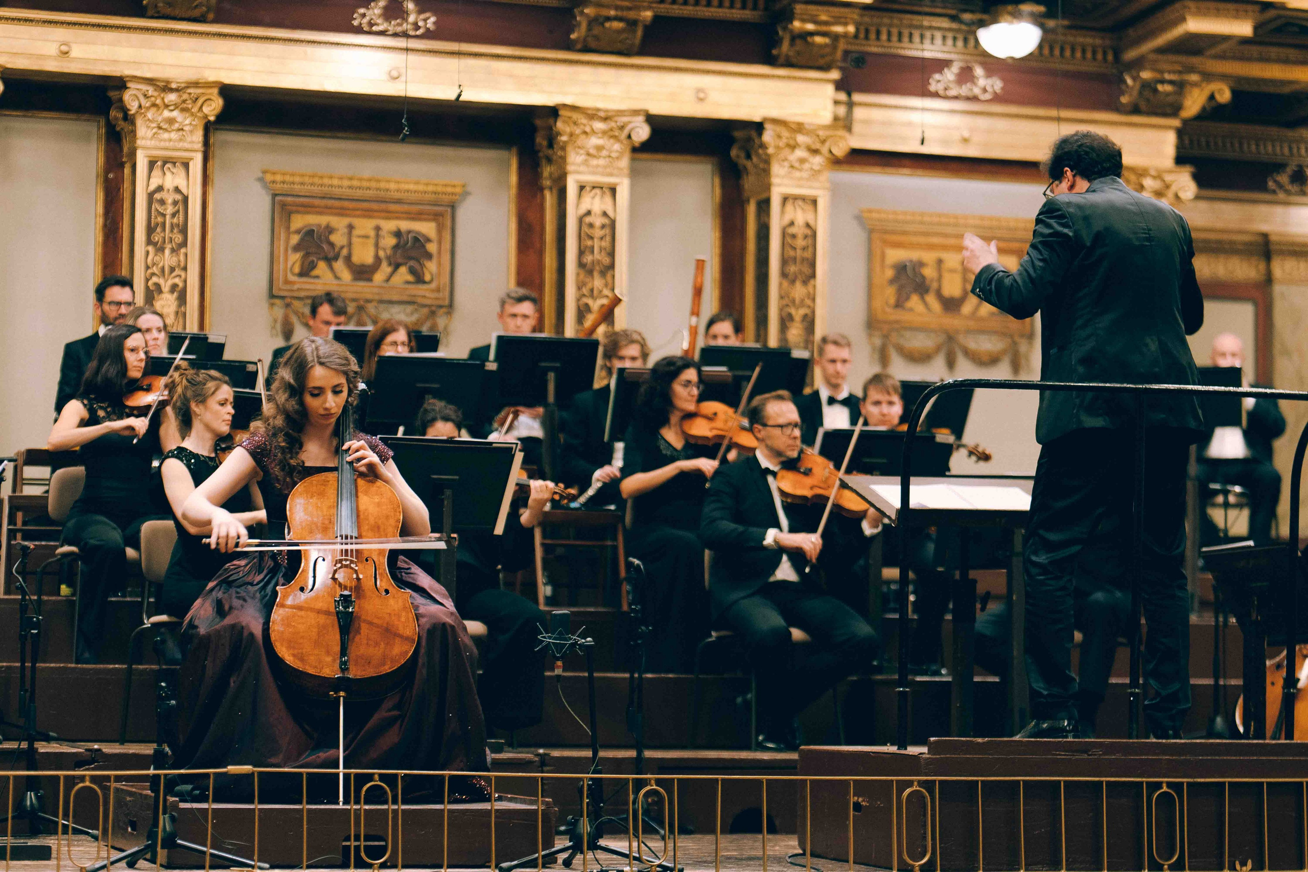MUSIKVEREIN (VIENNA). Wedding&Event photographer Ismail Rzayev in Baku