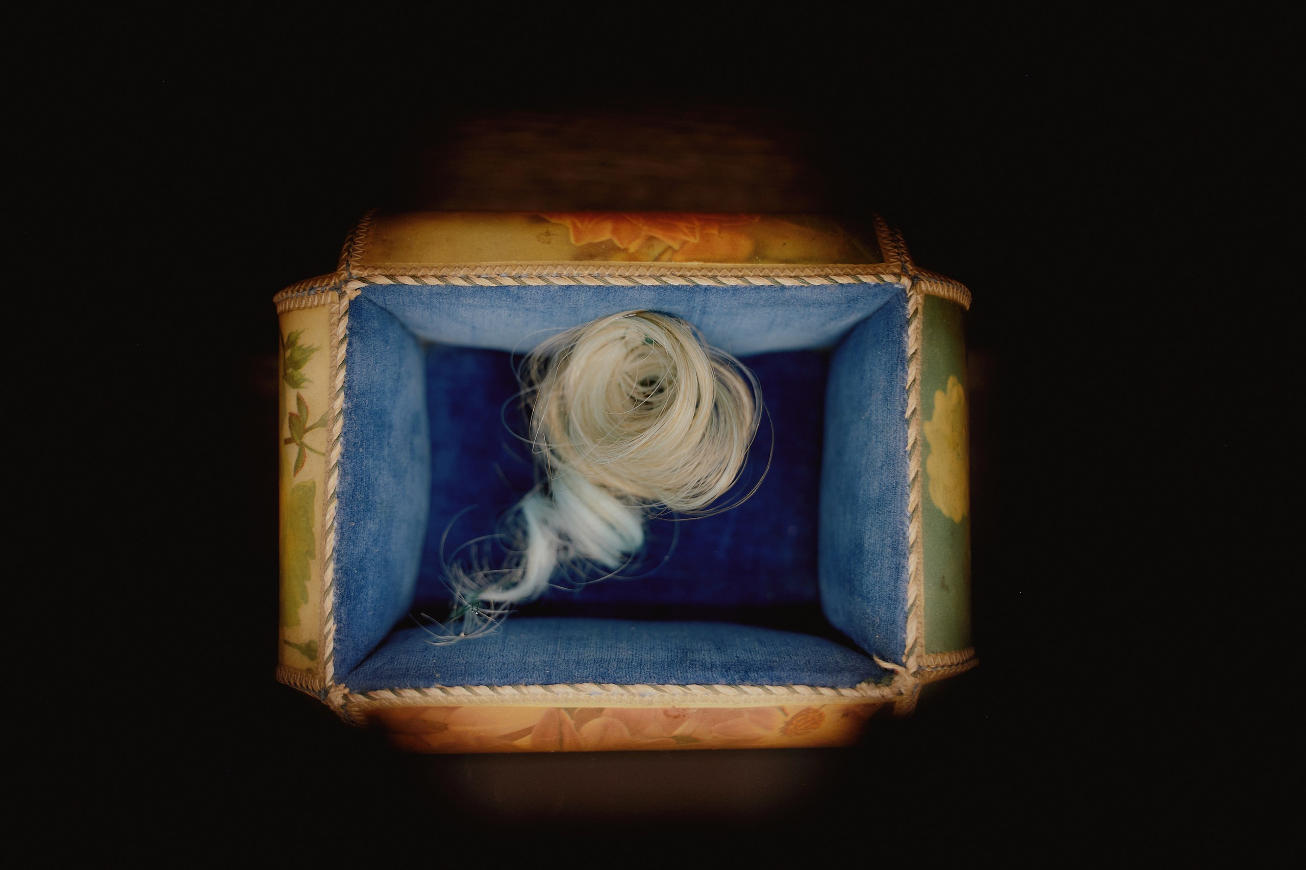 Spira mirabilis| Удивительная спираль. Alina Kugush