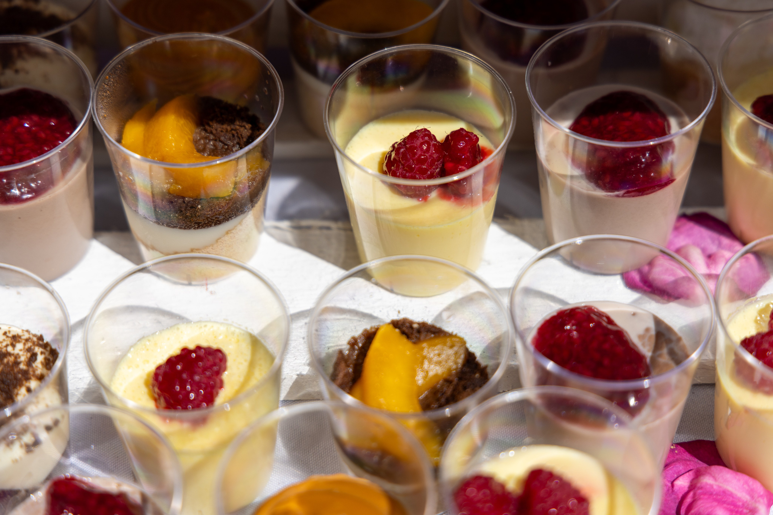 Maritza y Alen. Dinka & Emilio - El arte de preservar lo que no se repite