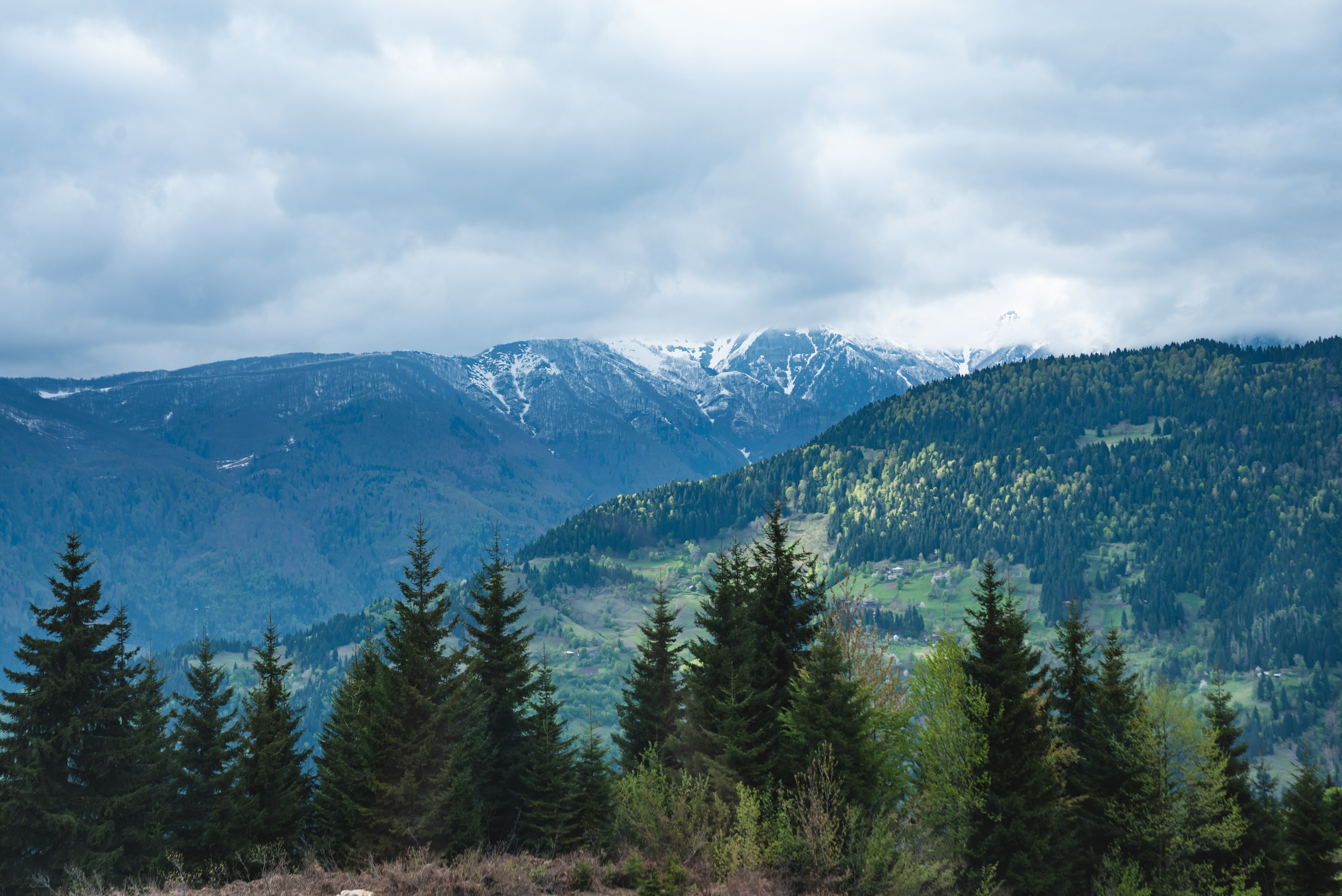 DAO Space. Ekaterina Verbitskaya. Photography