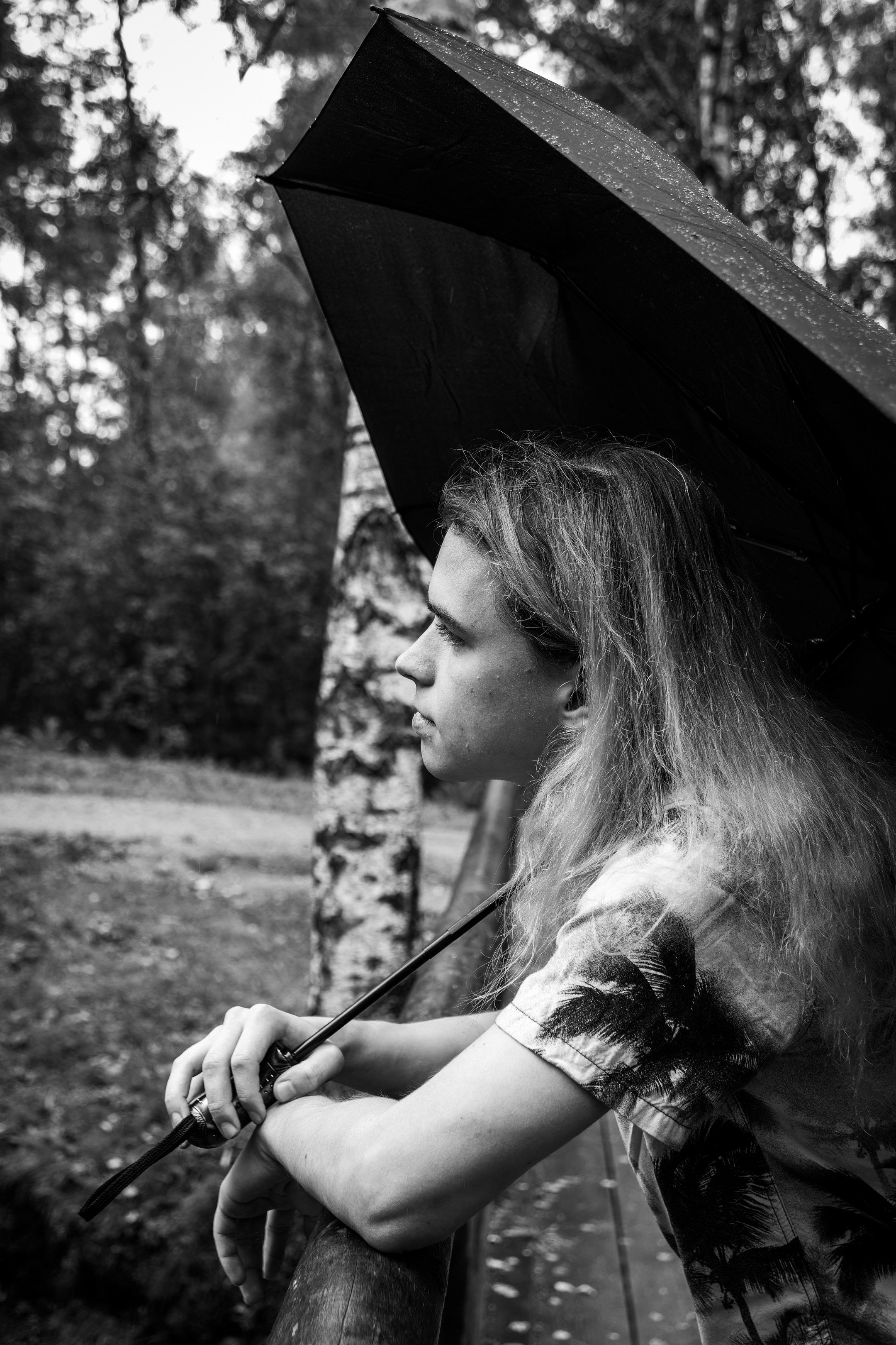 Mets, vihm ja jahedus (Dimitry). Nebula 25 — Fotod teie hingele