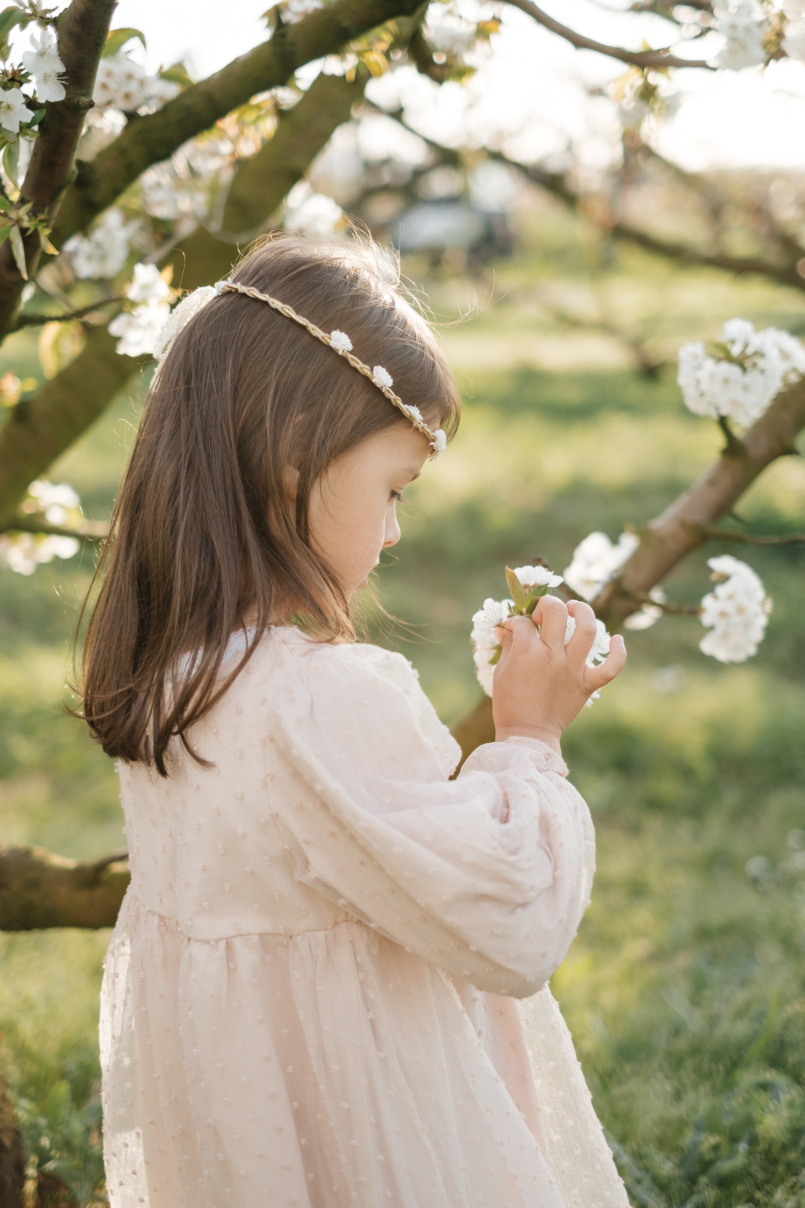 🌸🌸🌸. Fotografa Rimini