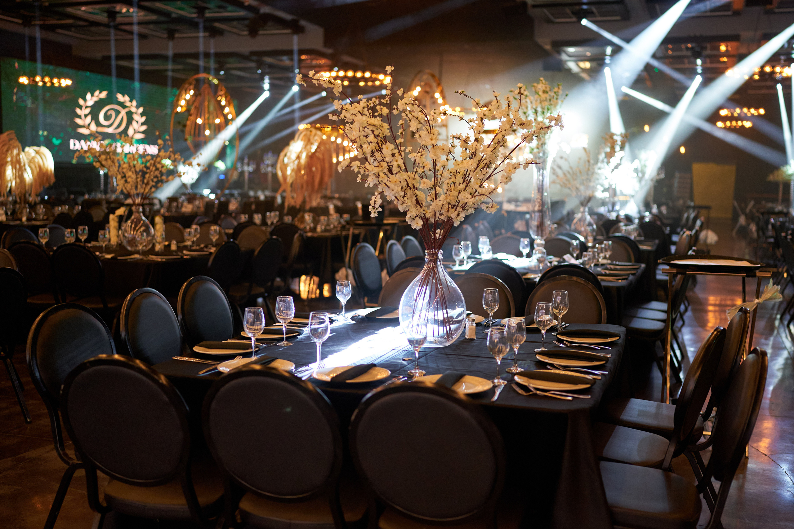 Dorin&Tomer. צלם אלכס ברט בישראל