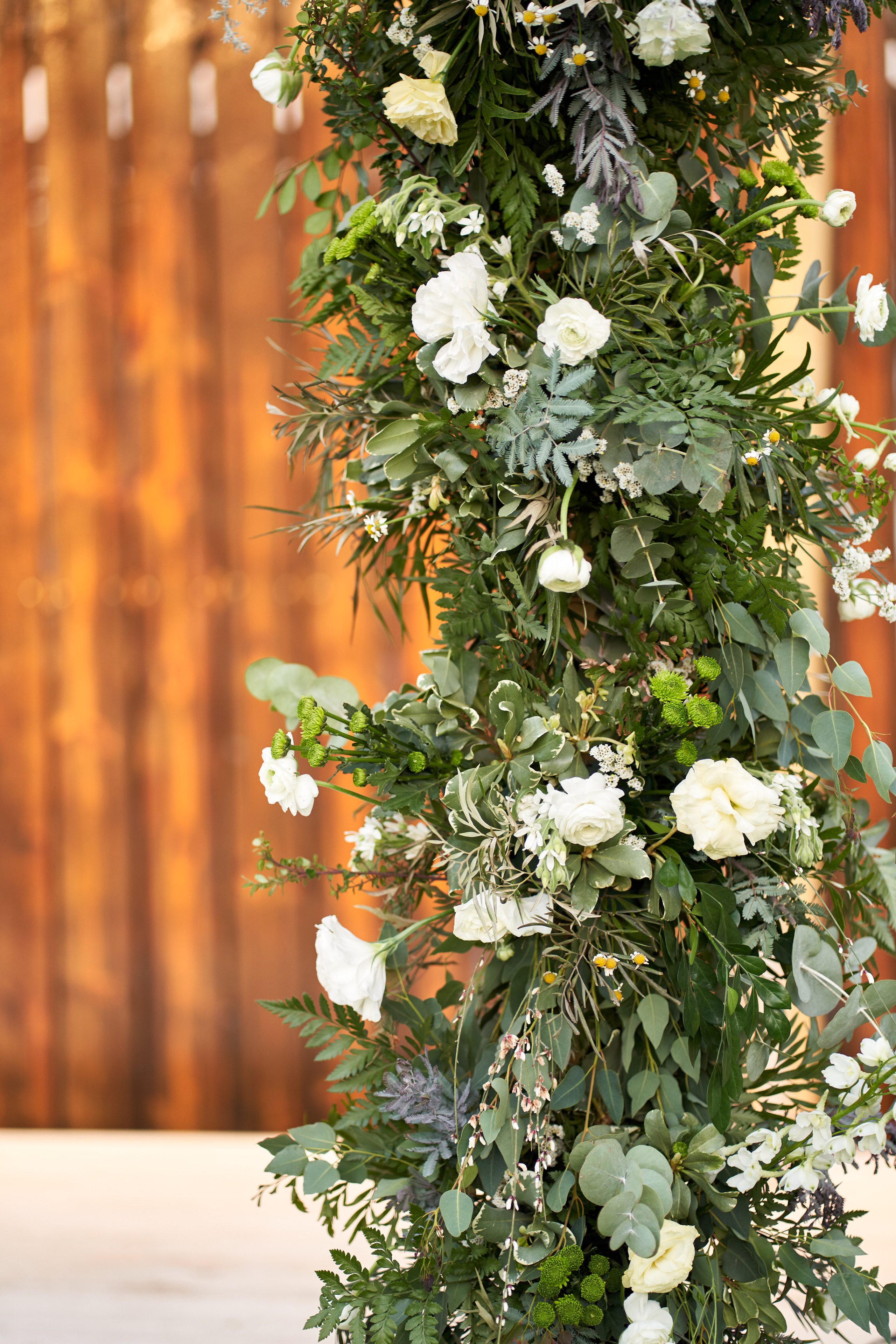 Chen&Itamar. צלם אלכס ברט בישראל