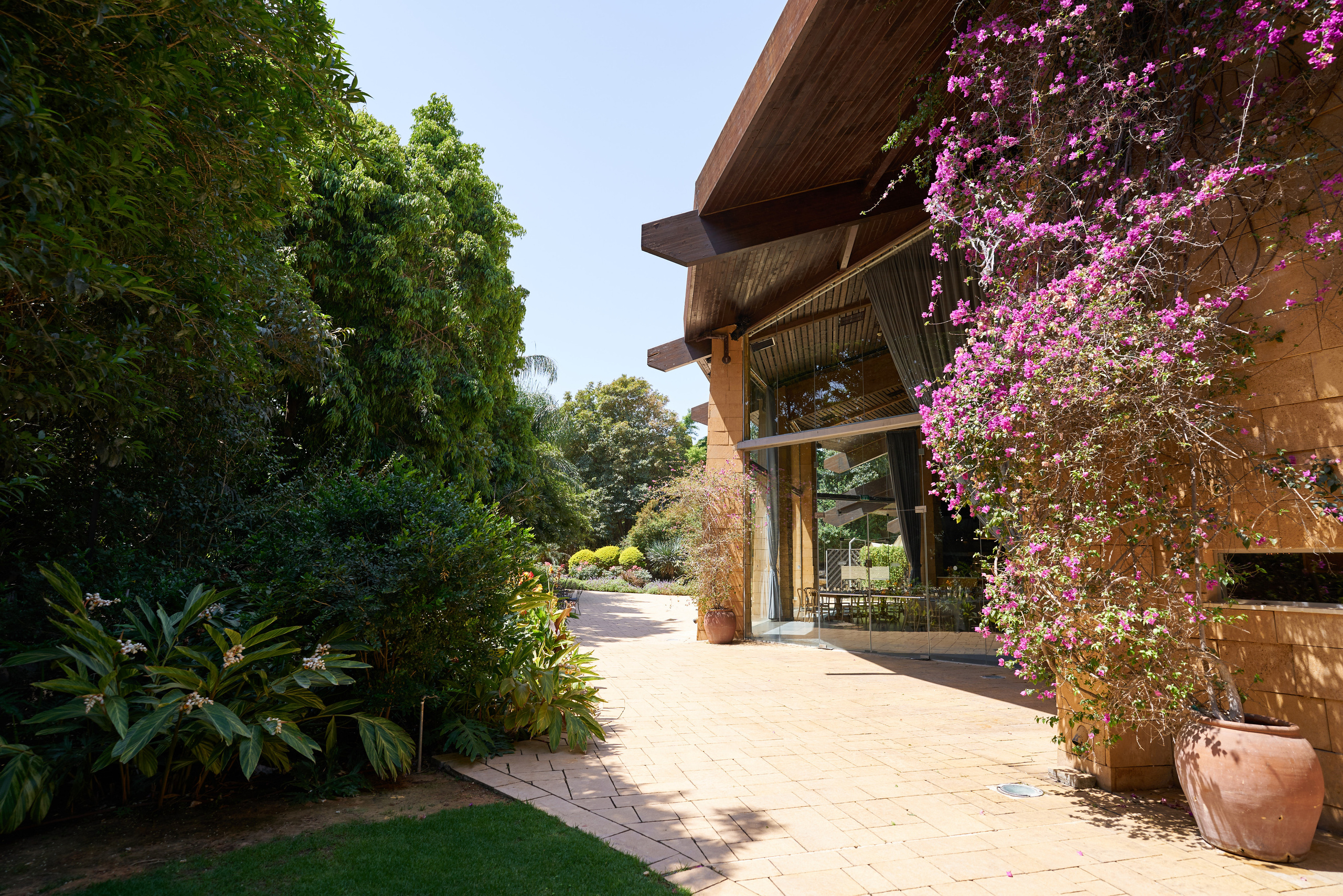 Sheri&Nimrod. צלם אלכס ברט בישראל