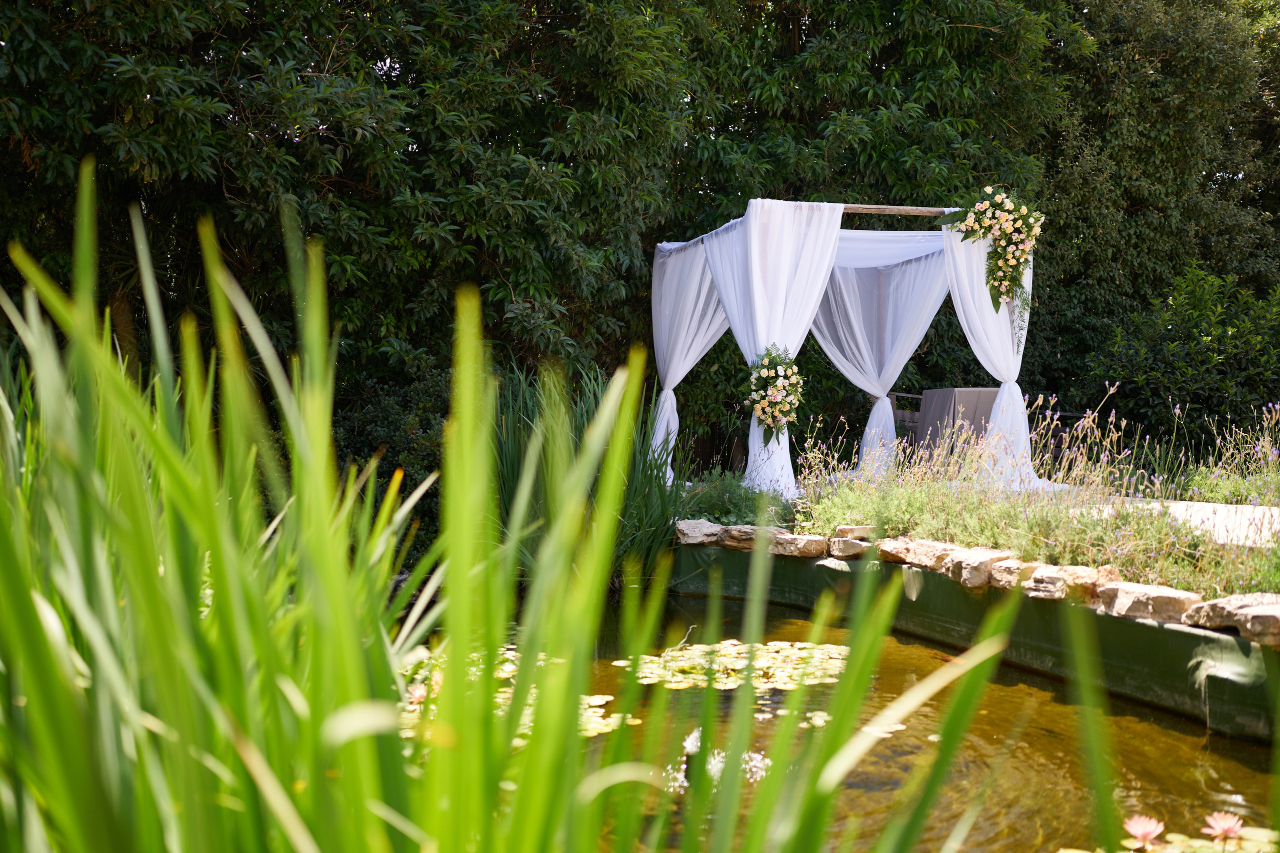 Sheri&Nimrod. צלם אלכס ברט בישראל