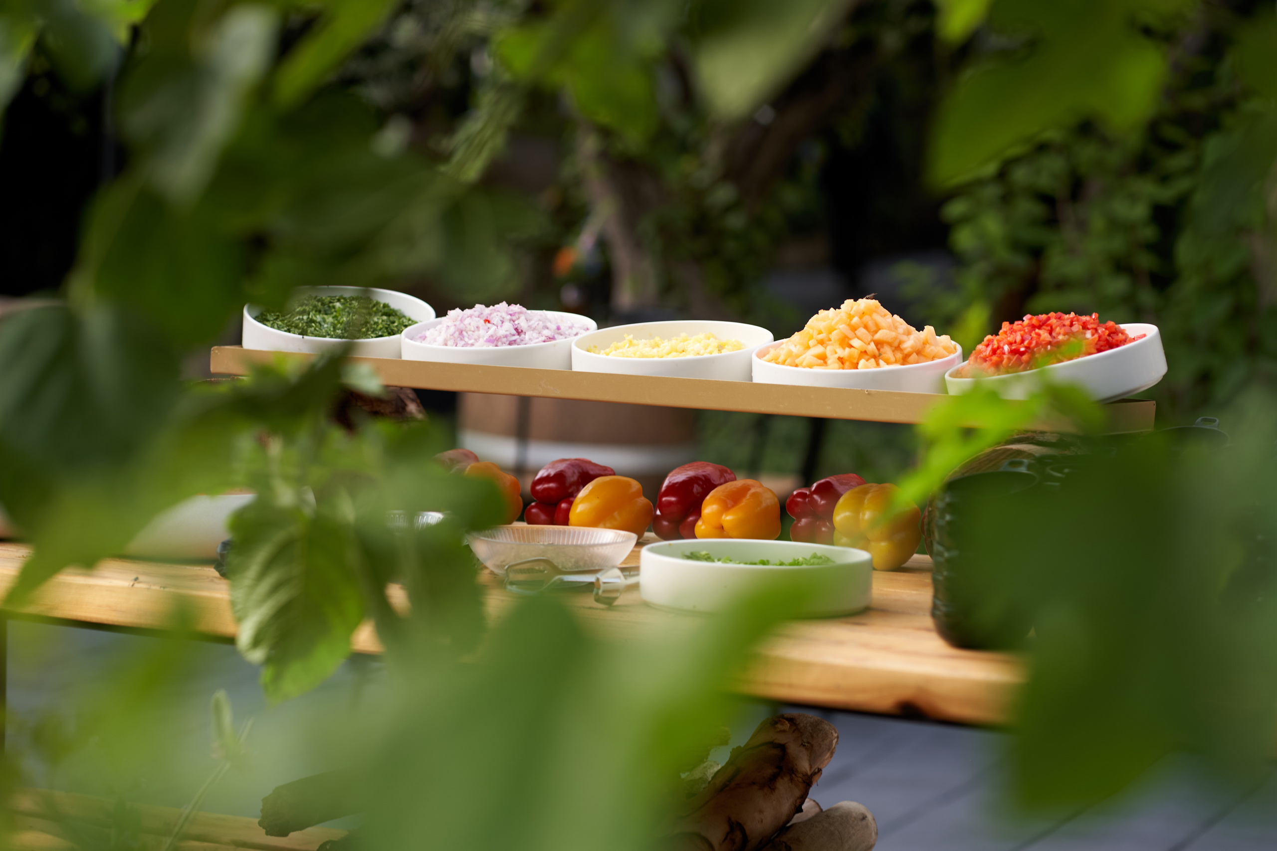 Tal&Jonathan. צלם אלכס ברט בישראל