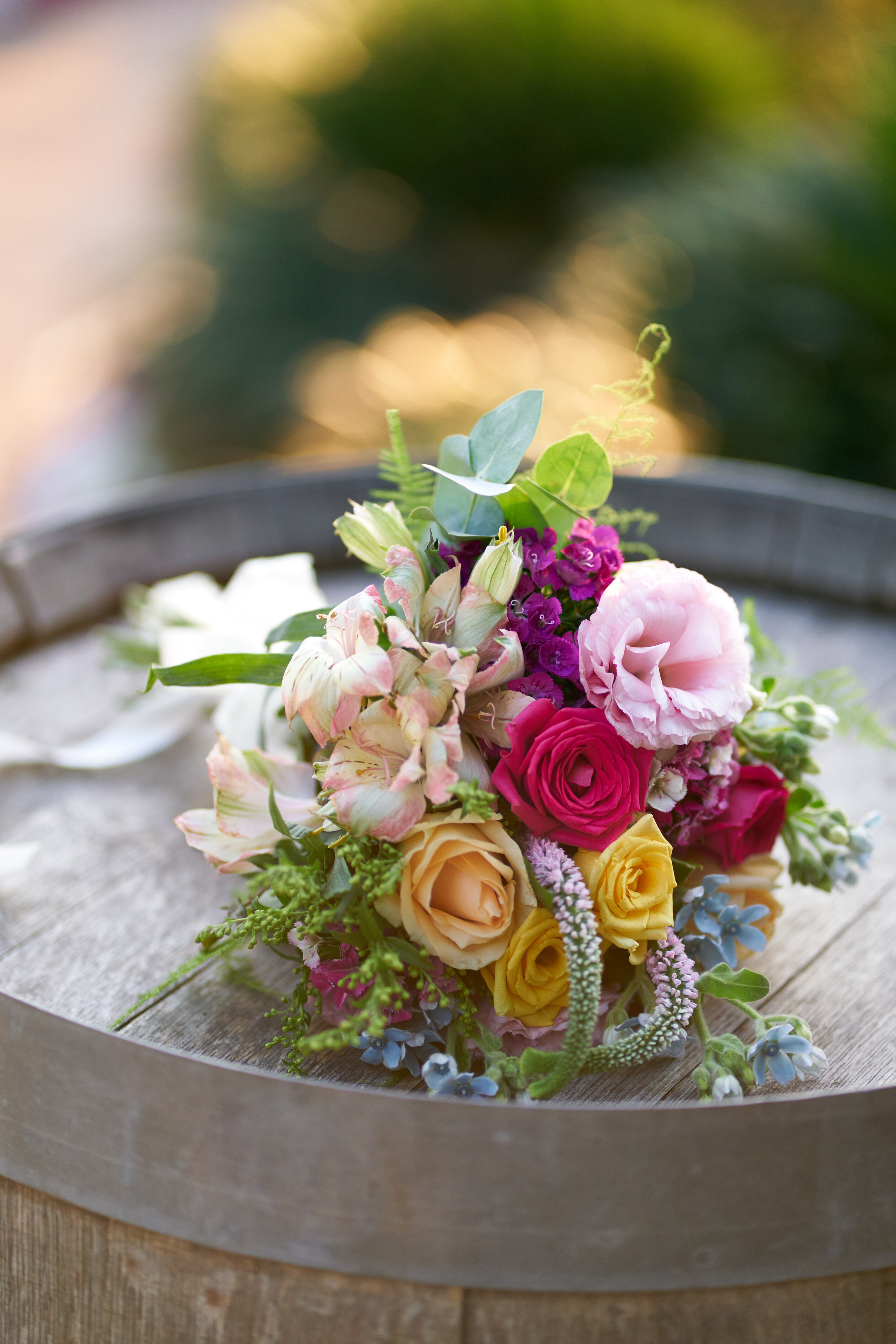 Rotem&Omer. צלם אלכס ברט בישראל