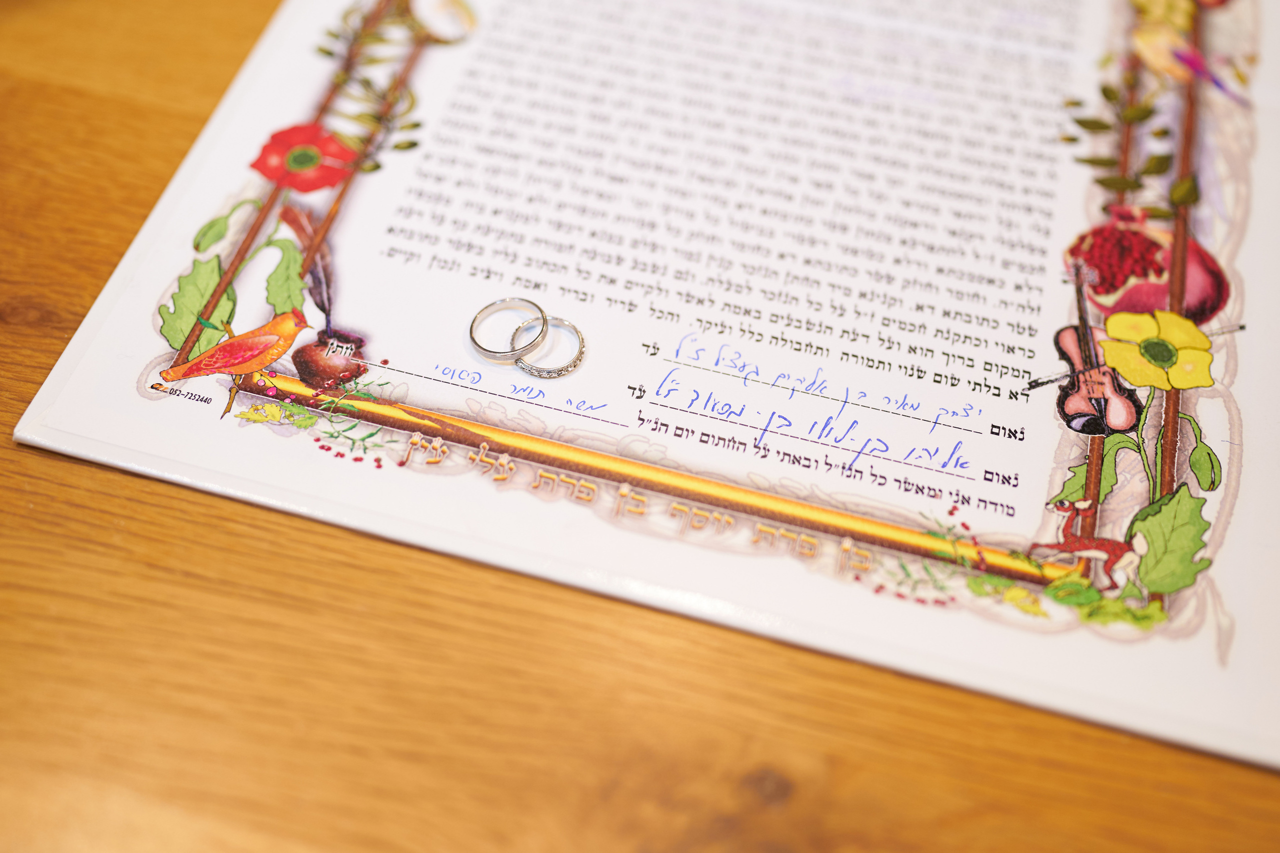 Dorin&Tomer. צלם אלכס ברט בישראל