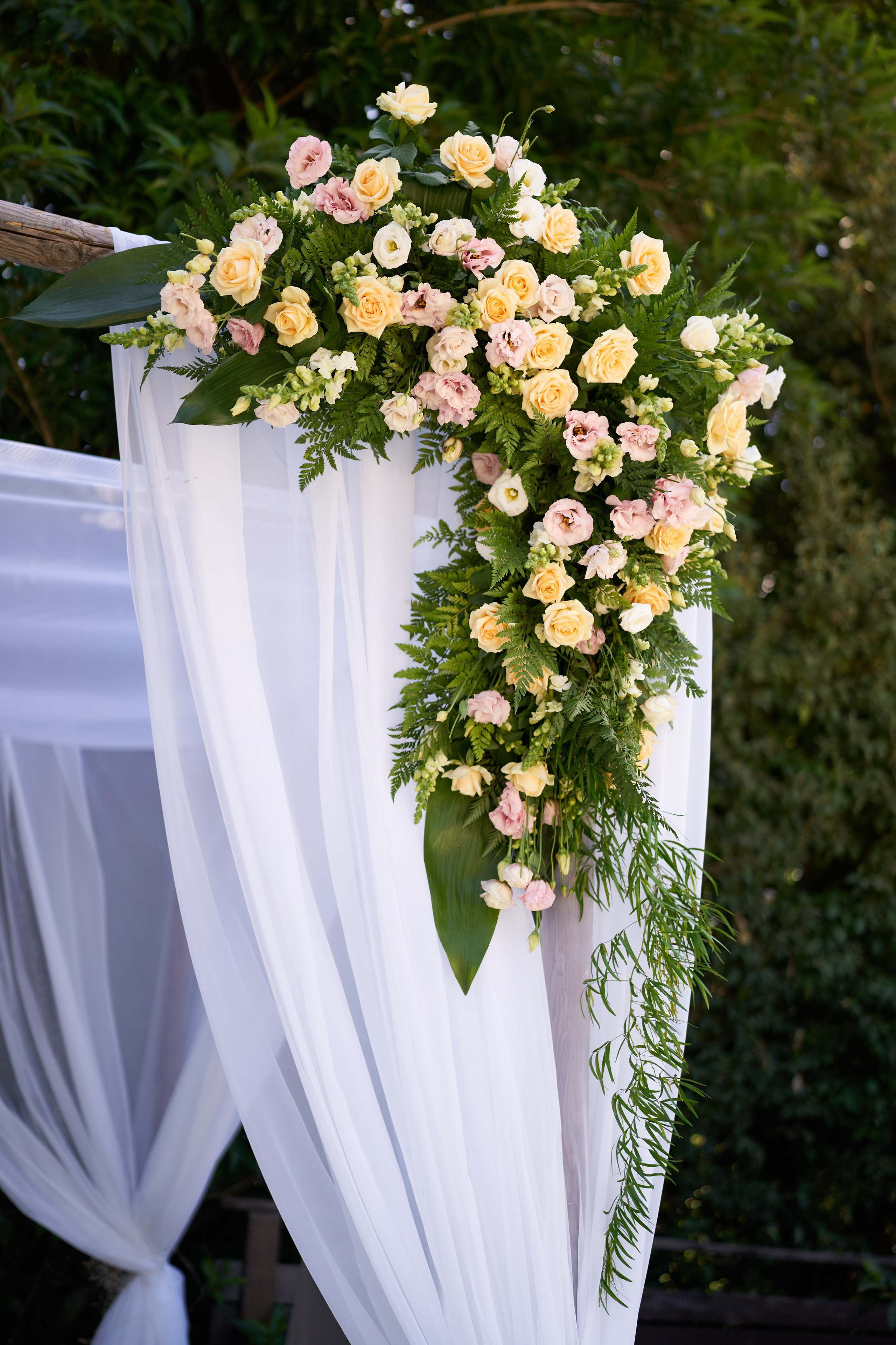 Sheri&Nimrod. צלם אלכס ברט בישראל