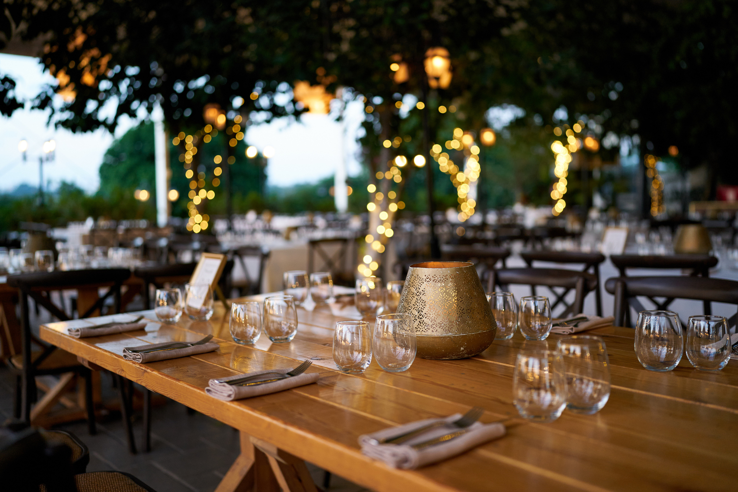 Rotem&Omer. צלם אלכס ברט בישראל