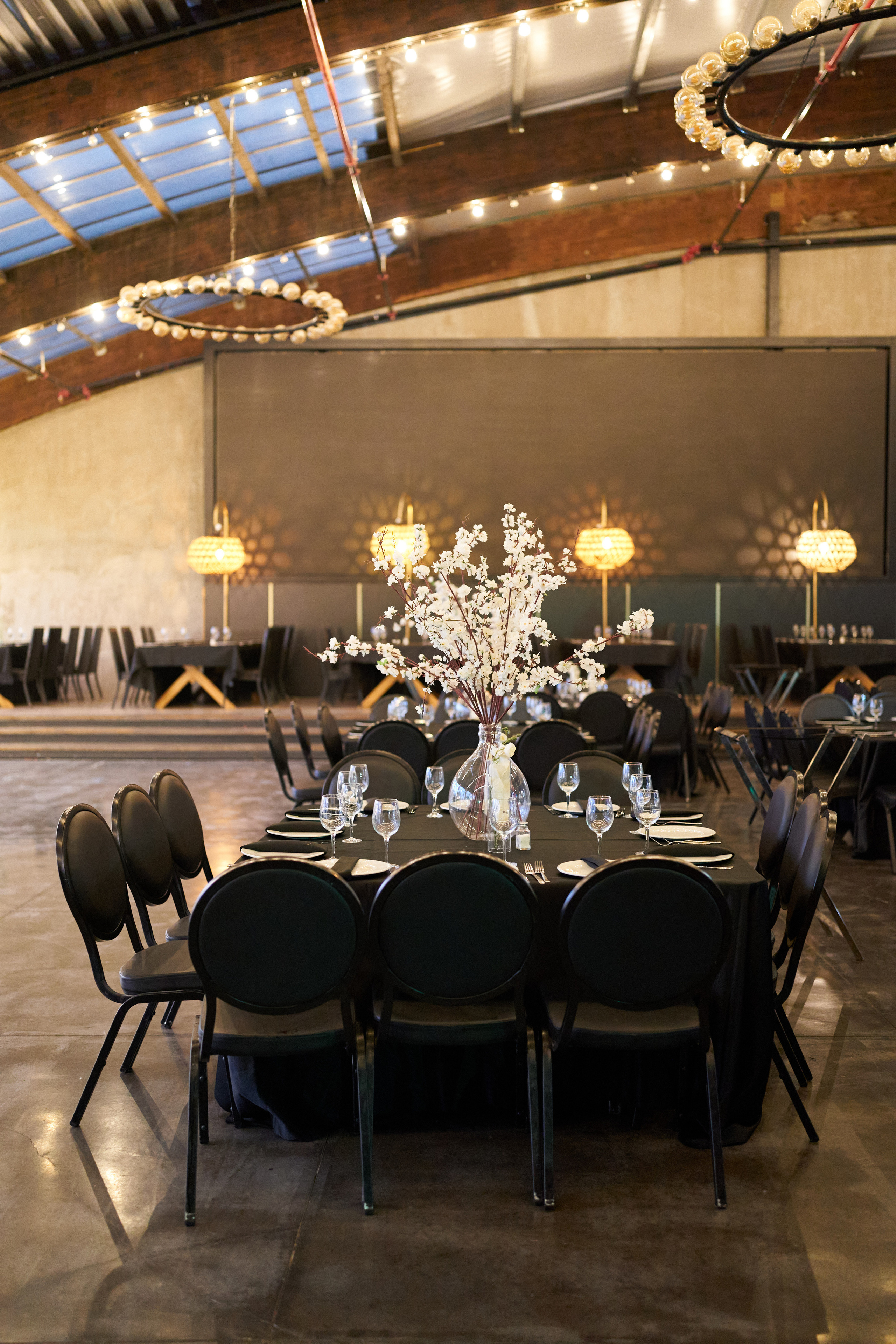 Dorin&Tomer. צלם אלכס ברט בישראל