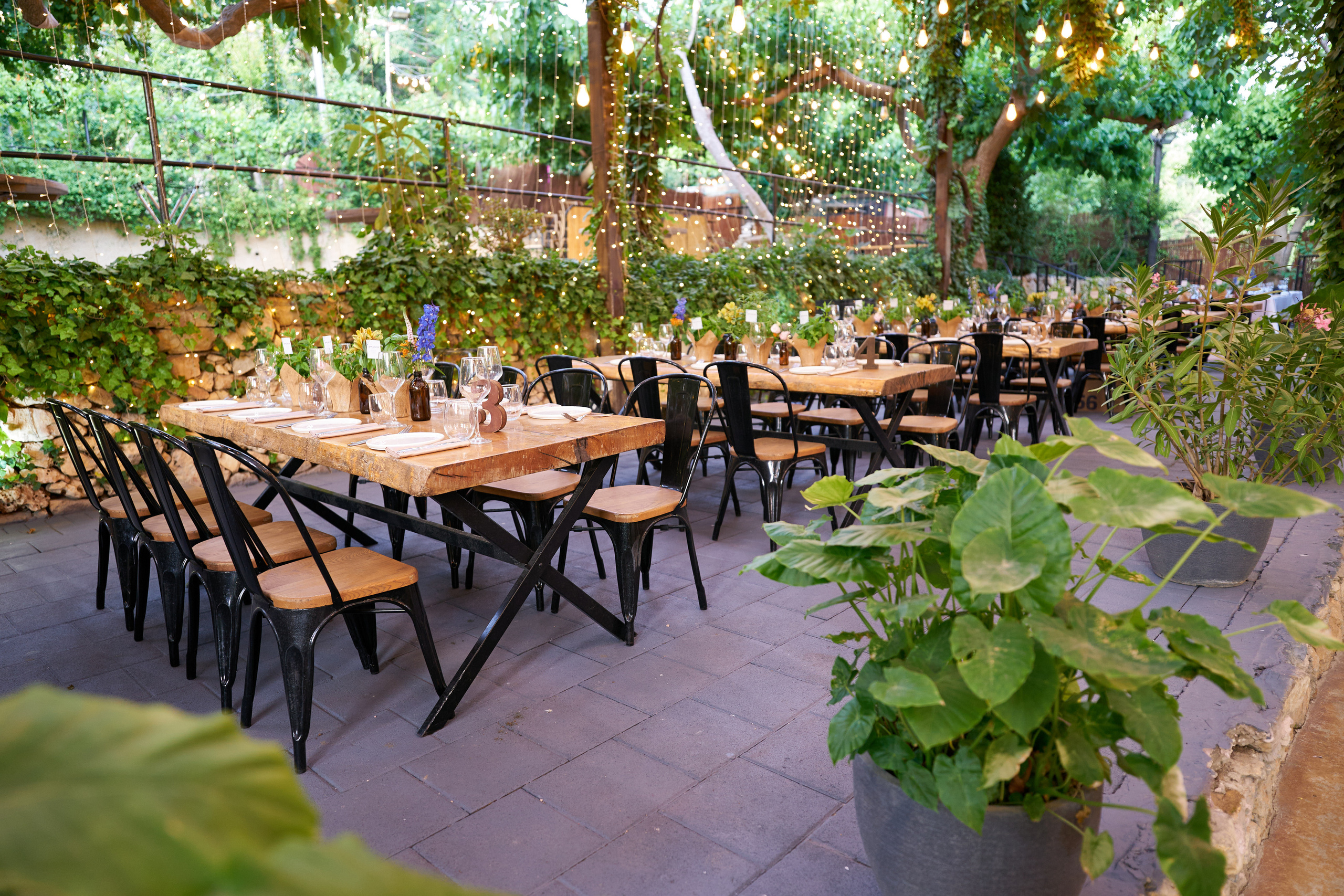 Tal&Jonathan. צלם אלכס ברט בישראל