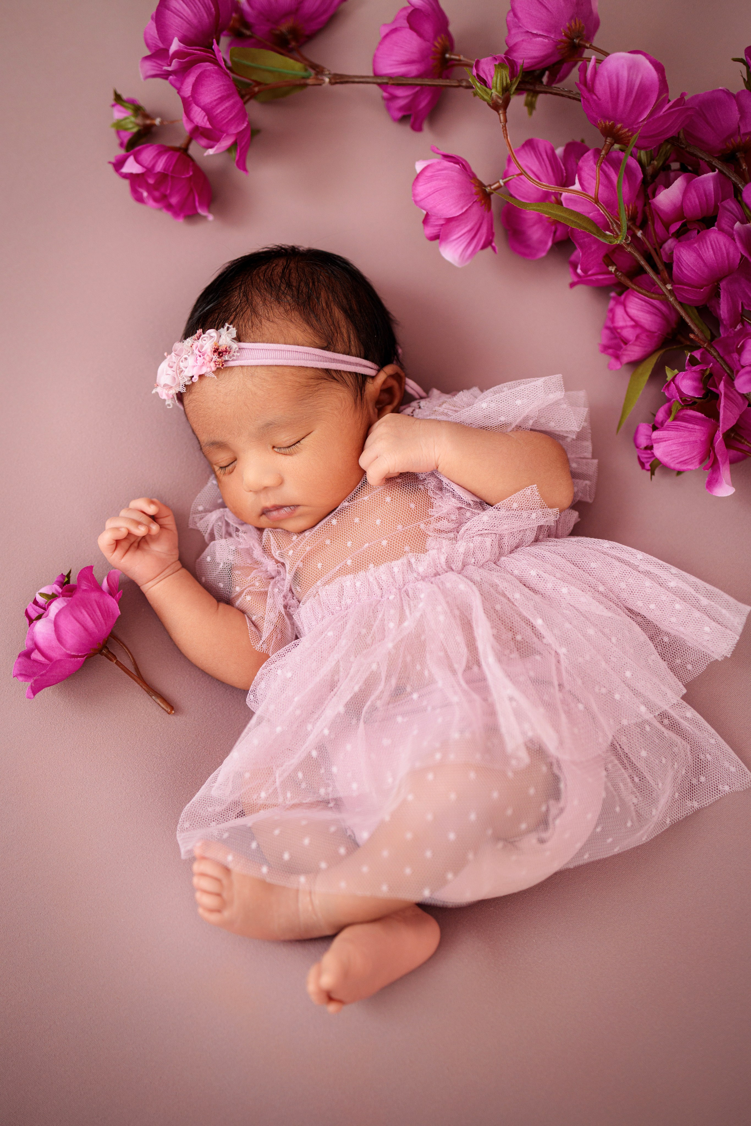 Newborn. Anaeliseevaphoto.com