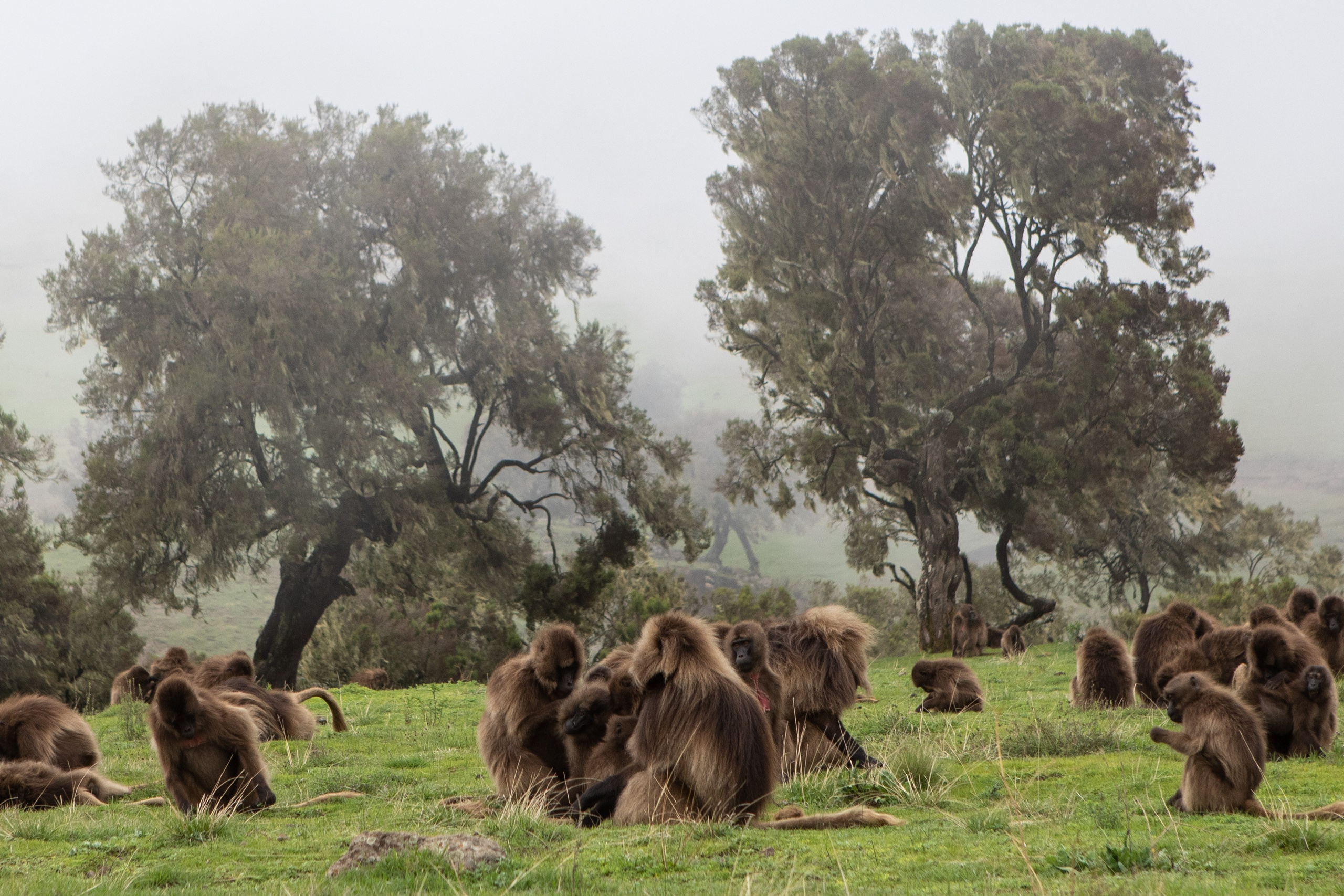 Ethiopia. Documentary, lifestile photographer in Morocco Marina Chaikovskaia