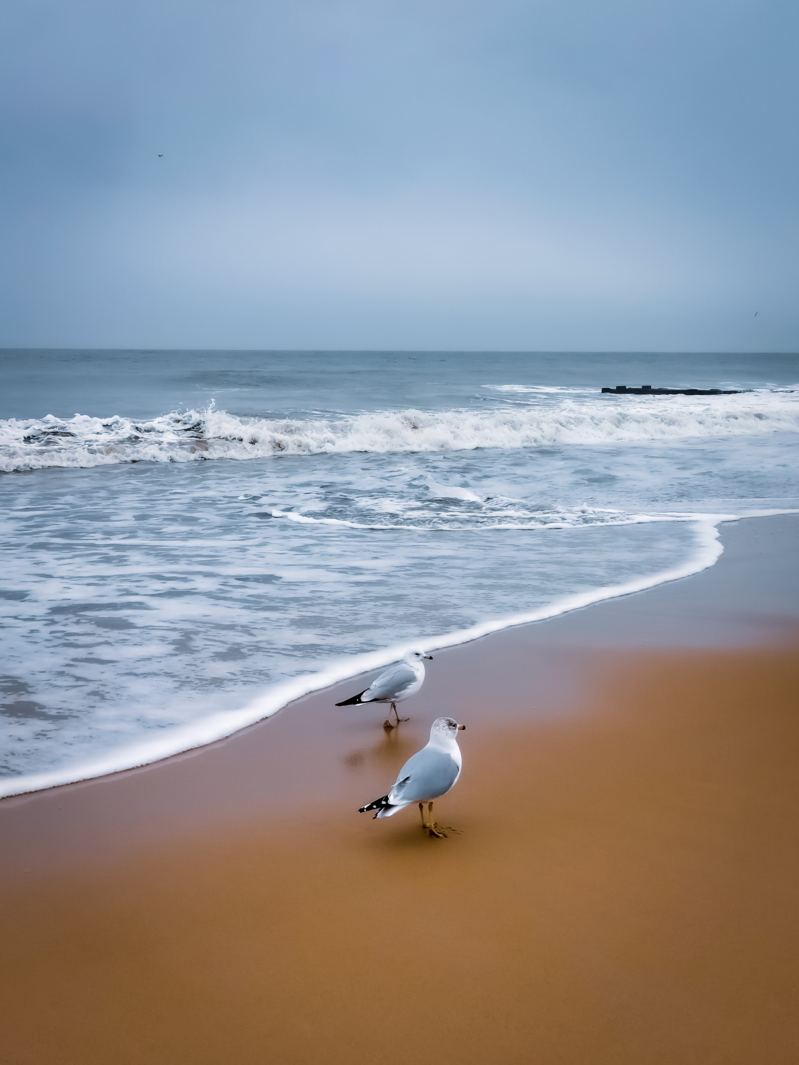 Atlantic Ocean and photo with dreams. Victoria Fedoseenko. Photographer from Serbia