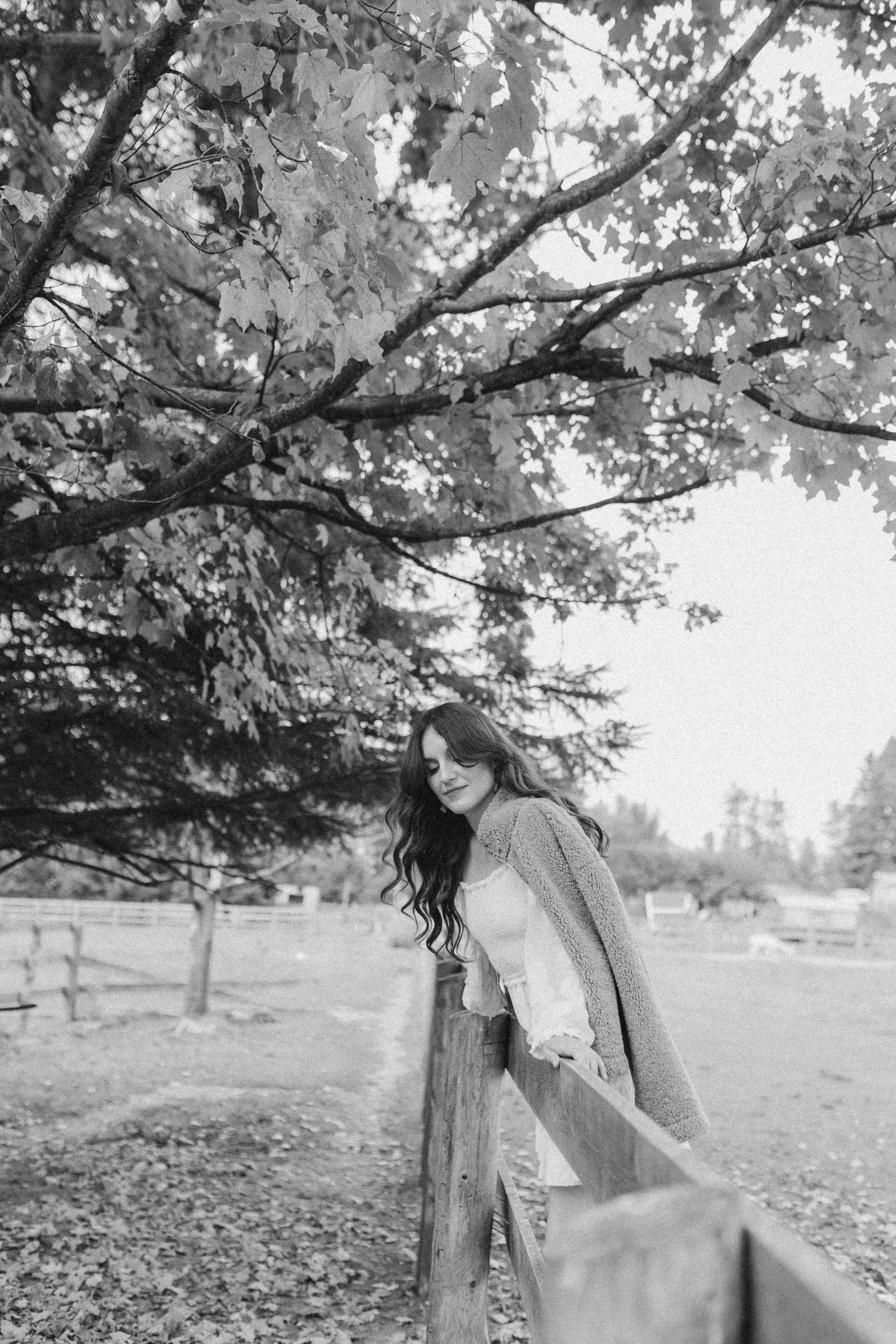 Alpacas Farm. Chernenko.photography