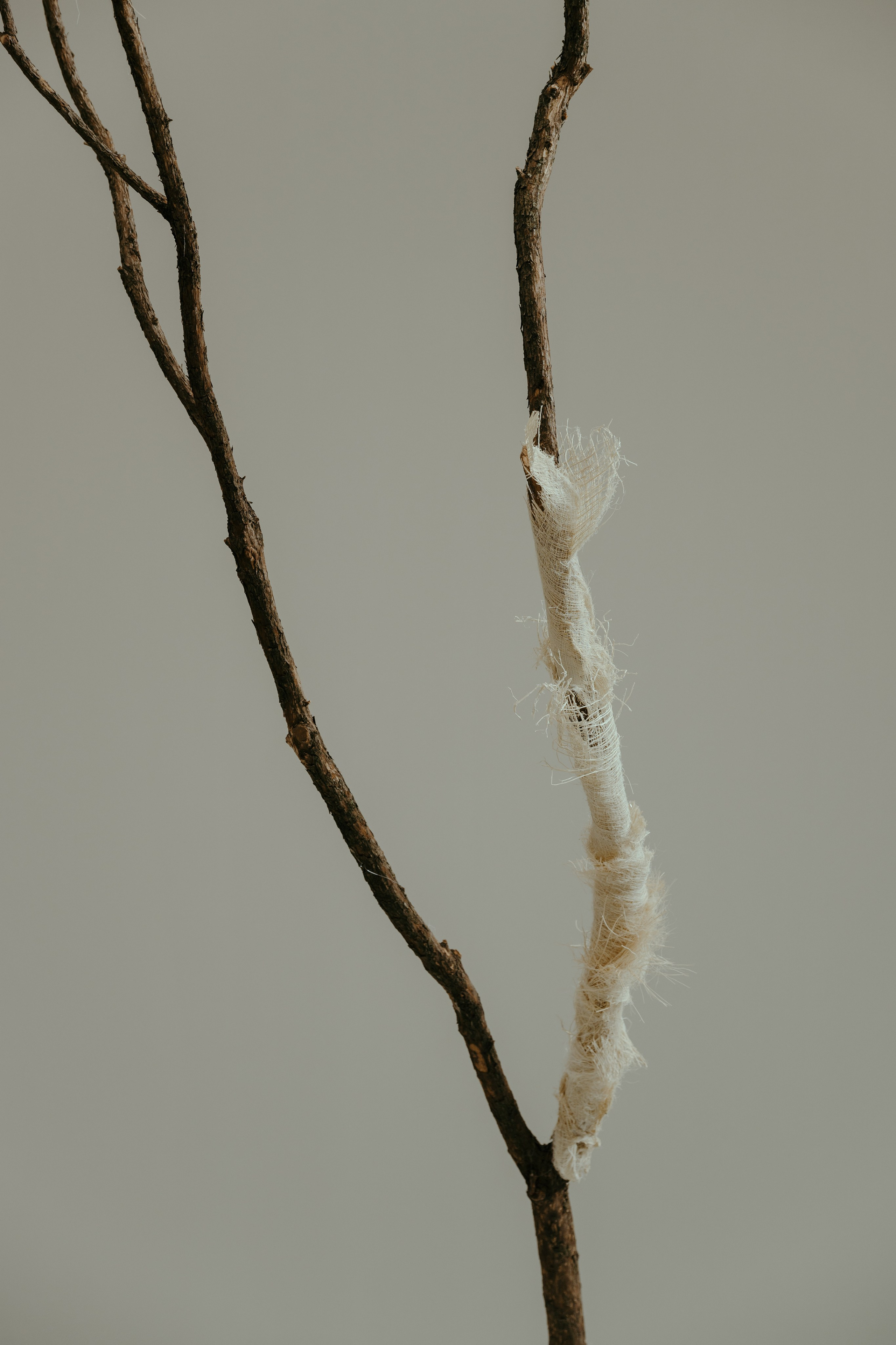 Art Direction: Flowers by&nbsp;Bornay Photography: Fabrizio Colque