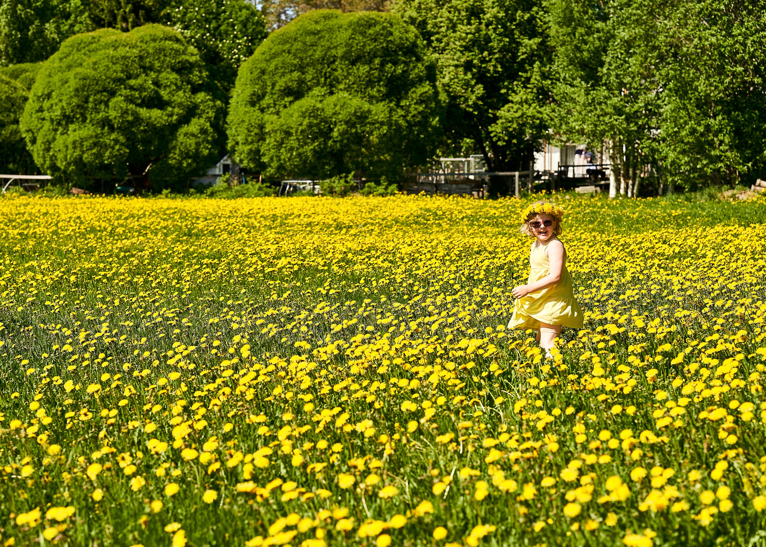 Barnfotografering. Family and portrait photographer Natalja Biteniece