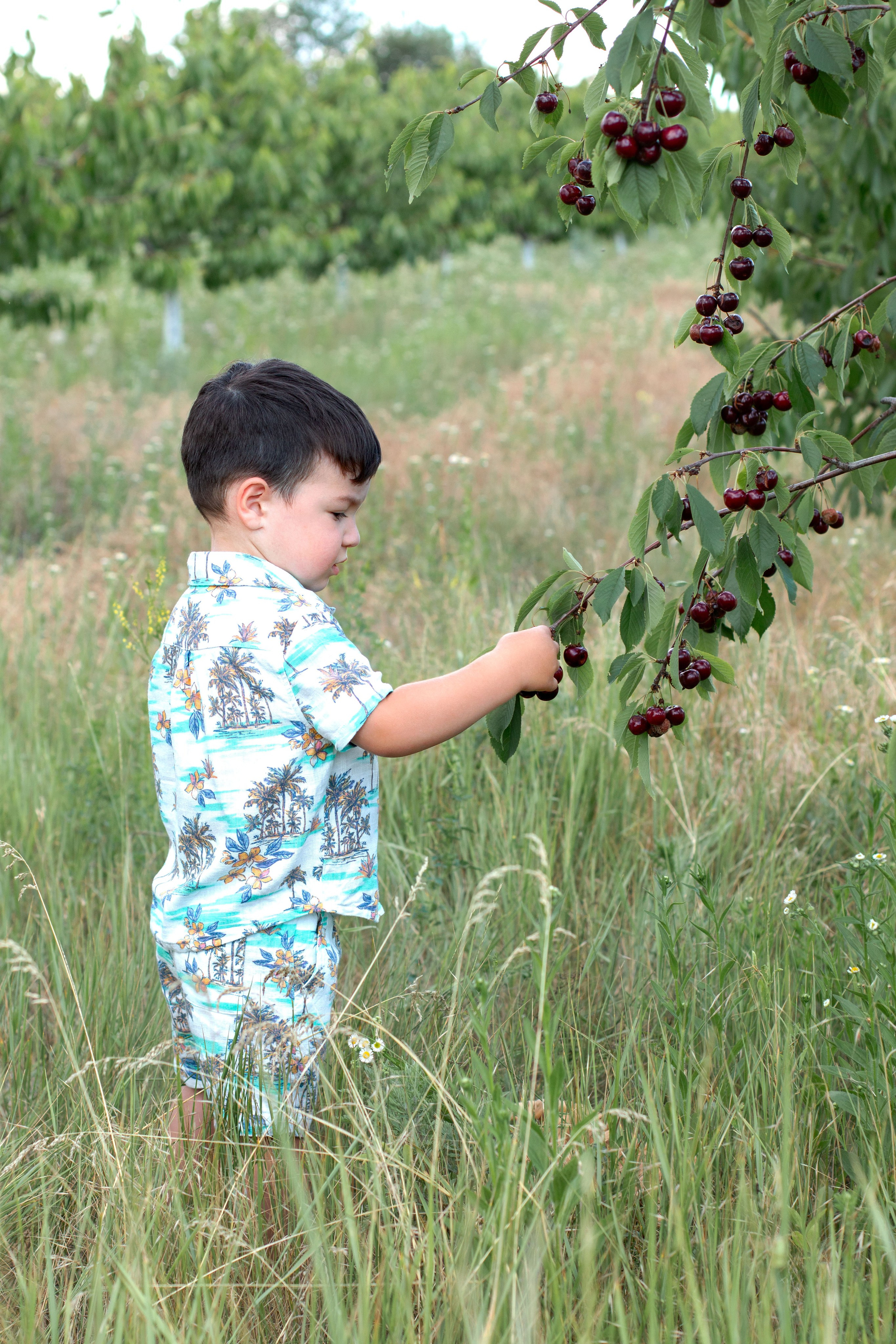 Черешня. Детский и семейный фотограф в г. Бельцы