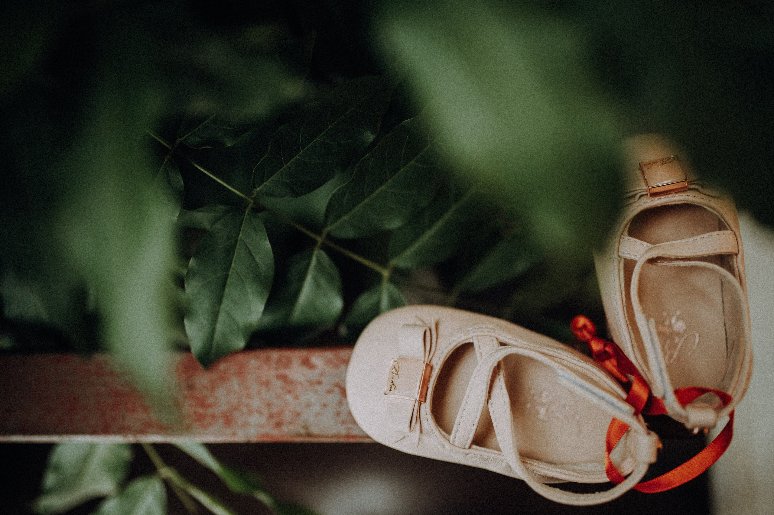 |Ambra|. Alex Vasilie | Fotograf de Nuntă, Botez și Portret | Cluj-Napoca