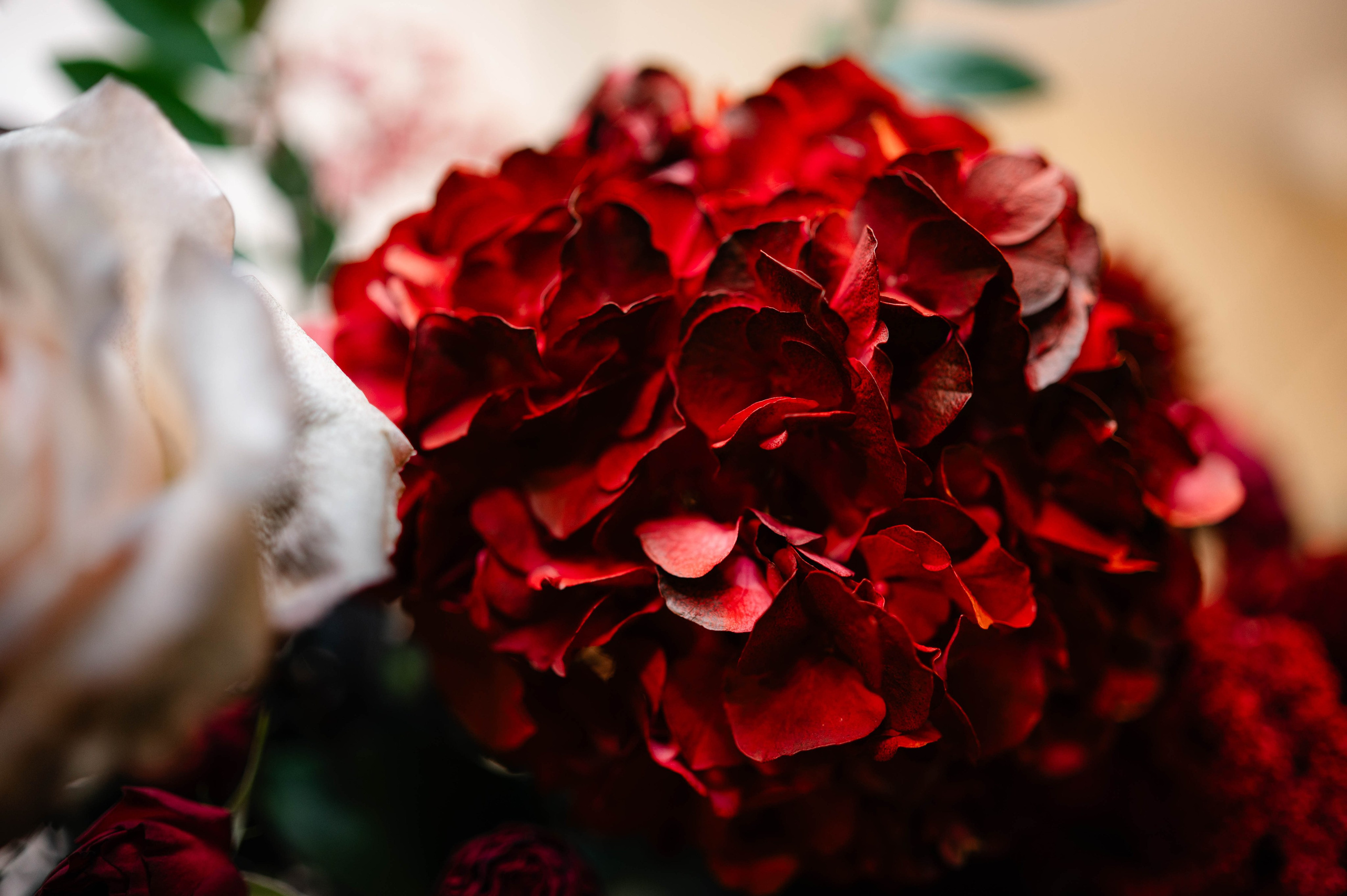 Cristina + Dan | Autumn Wedding. Alexandra Hanu Photographer