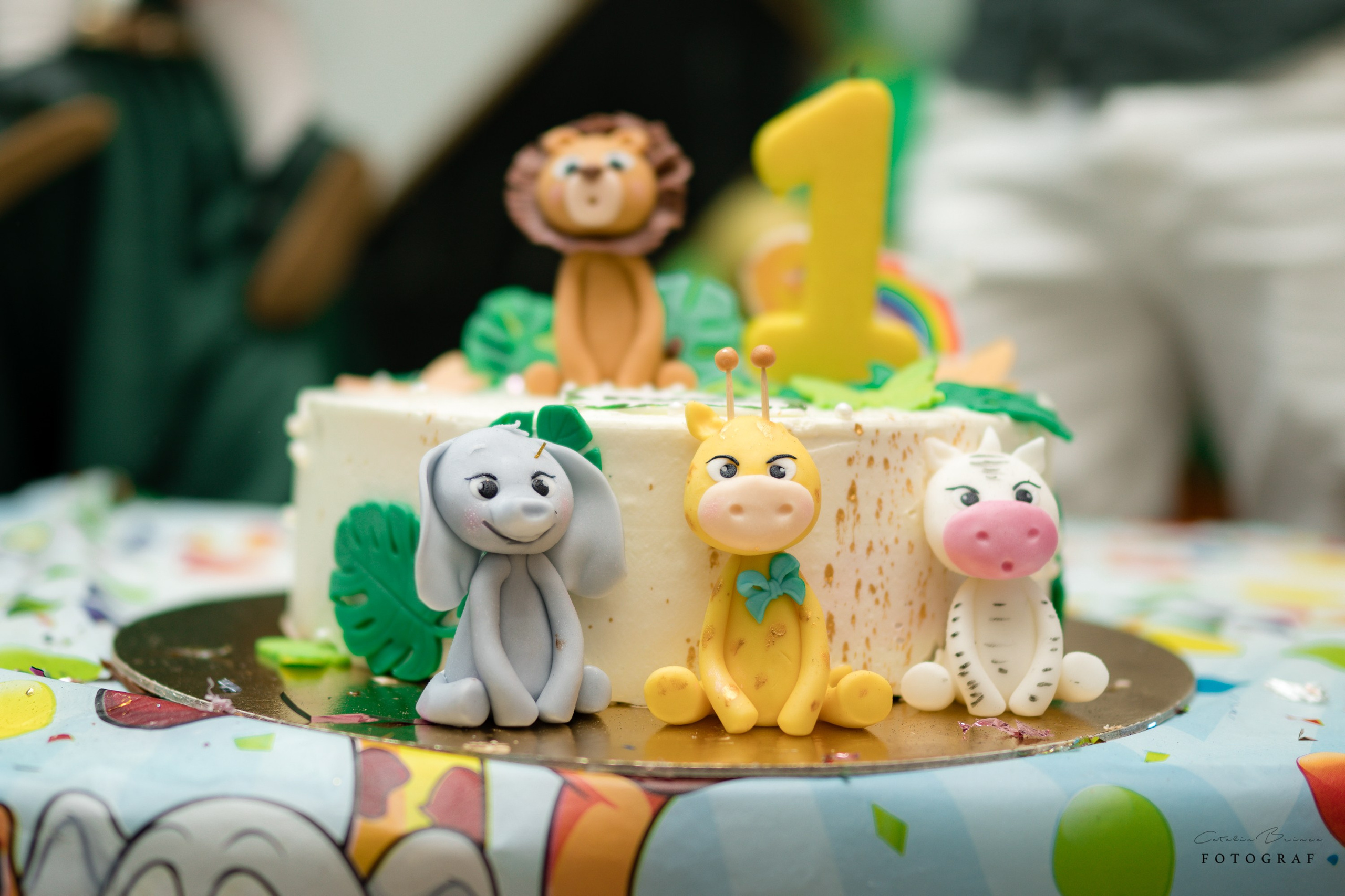 Taiere Mot — Ryan. Catalin Brinza