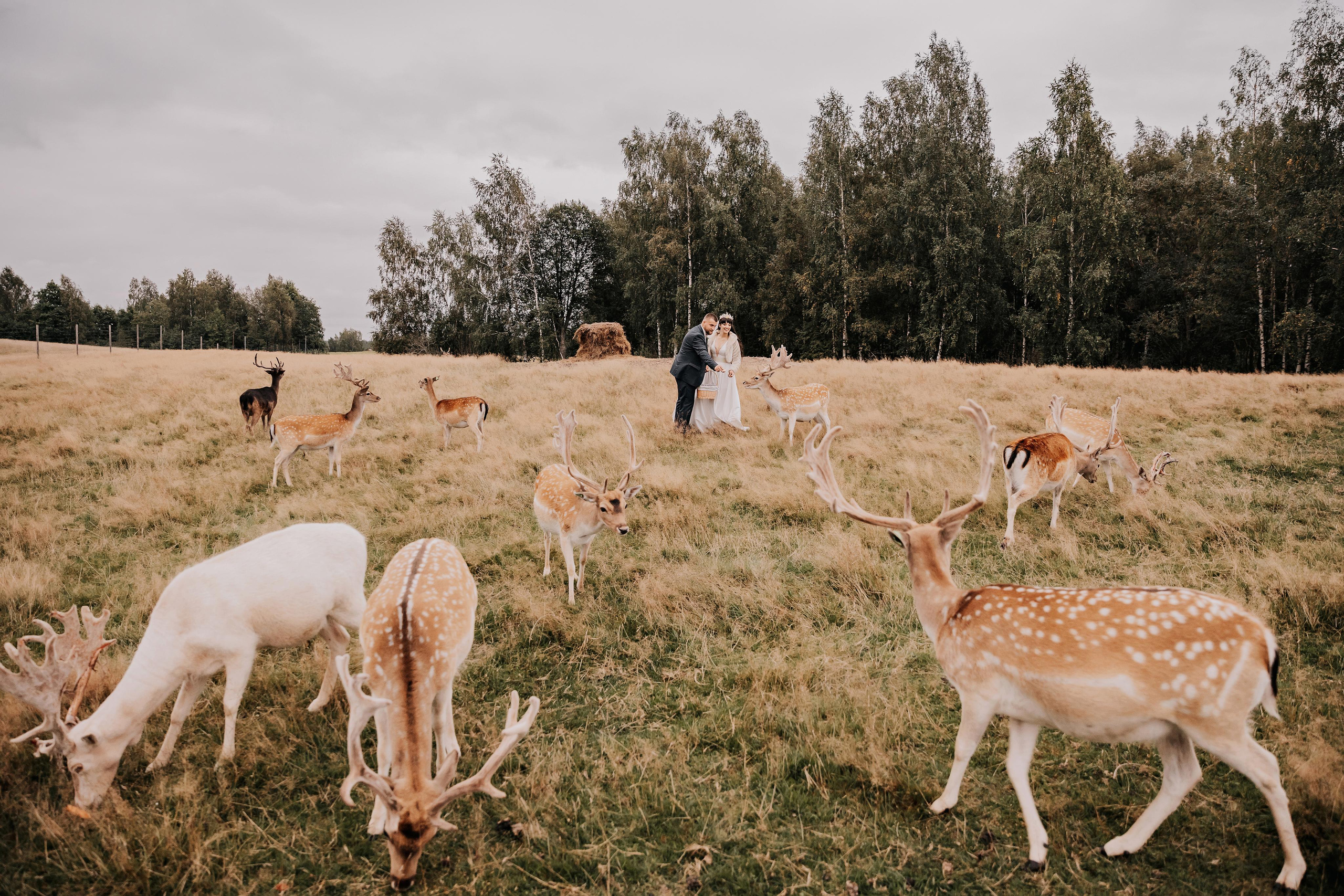 Justīne & Ivars. ФОТОГРАФ |ЛАТВИЯ | ДАУГАВПИЛС|