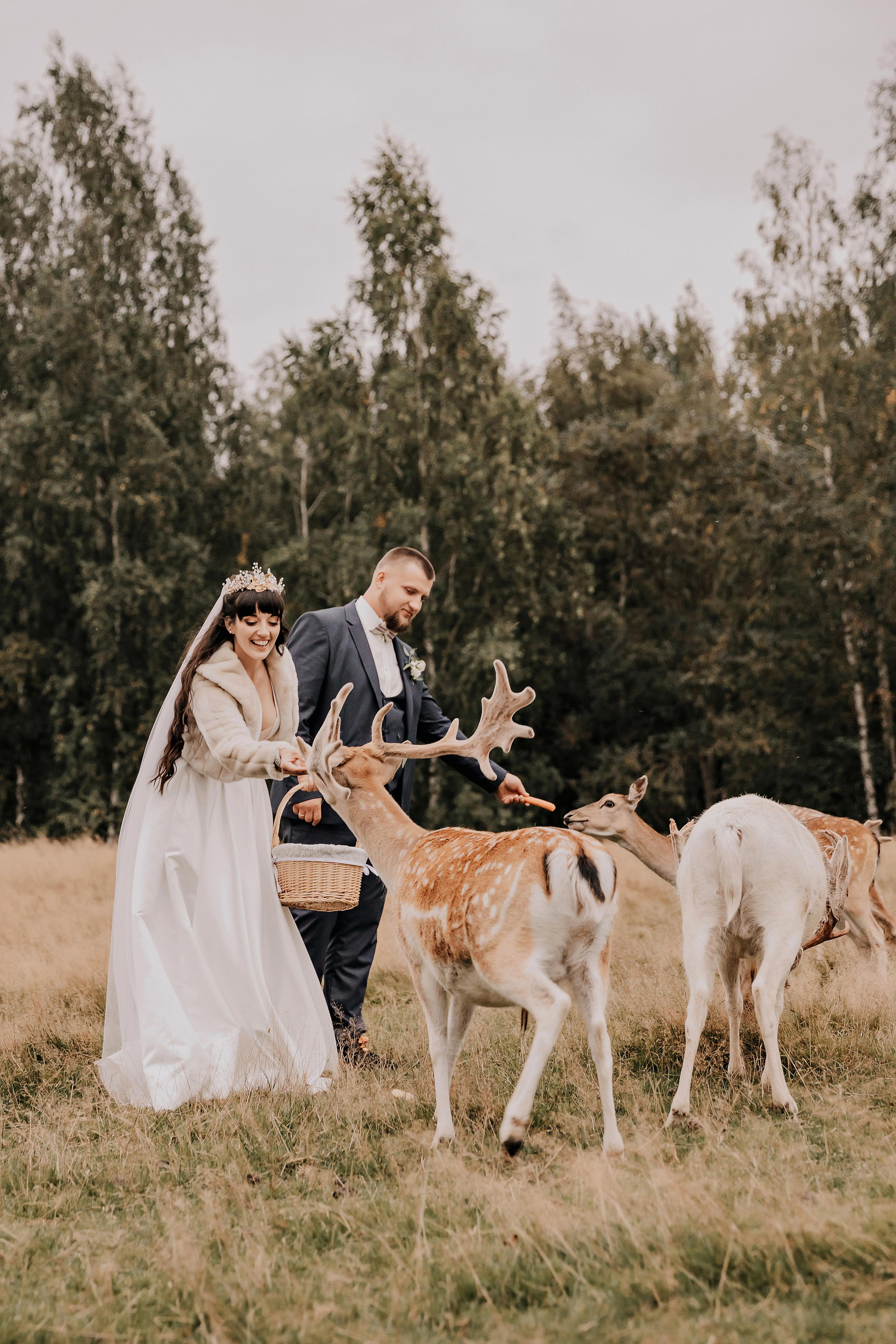 Justīne & Ivars. ФОТОГРАФ |ЛАТВИЯ | ДАУГАВПИЛС|