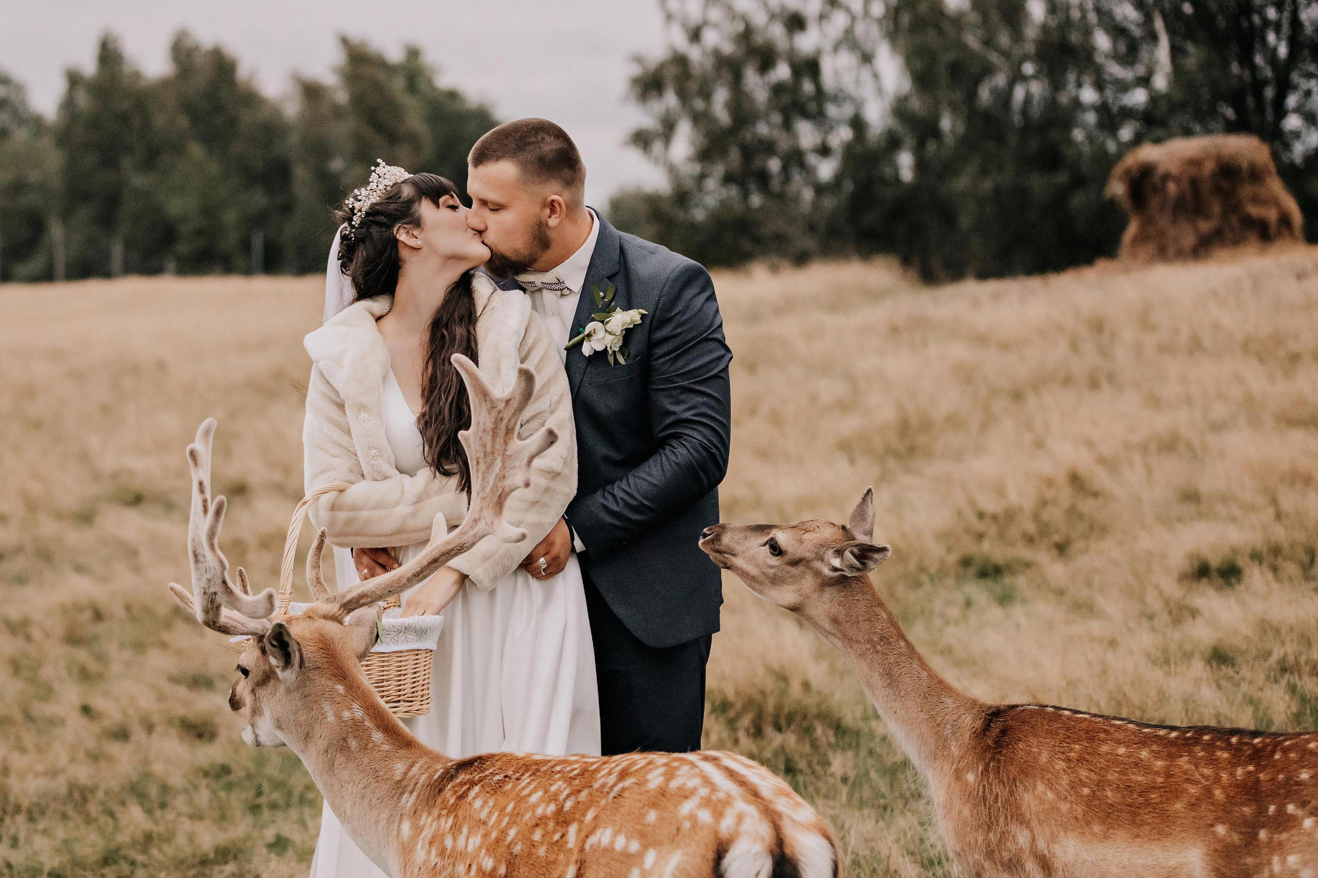 Justīne & Ivars. ФОТОГРАФ |ЛАТВИЯ | ДАУГАВПИЛС|