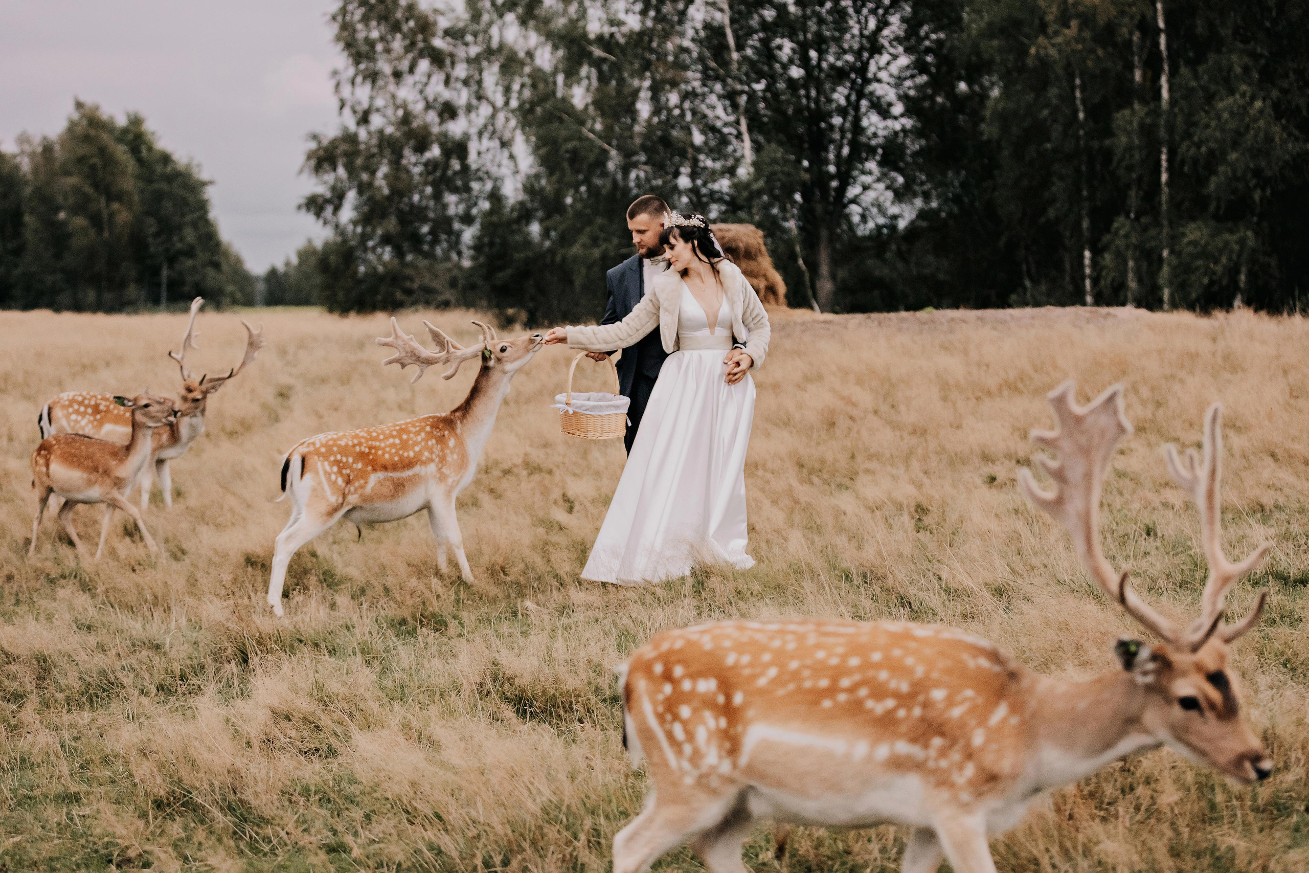 Justīne & Ivars. ФОТОГРАФ |ЛАТВИЯ | ДАУГАВПИЛС|