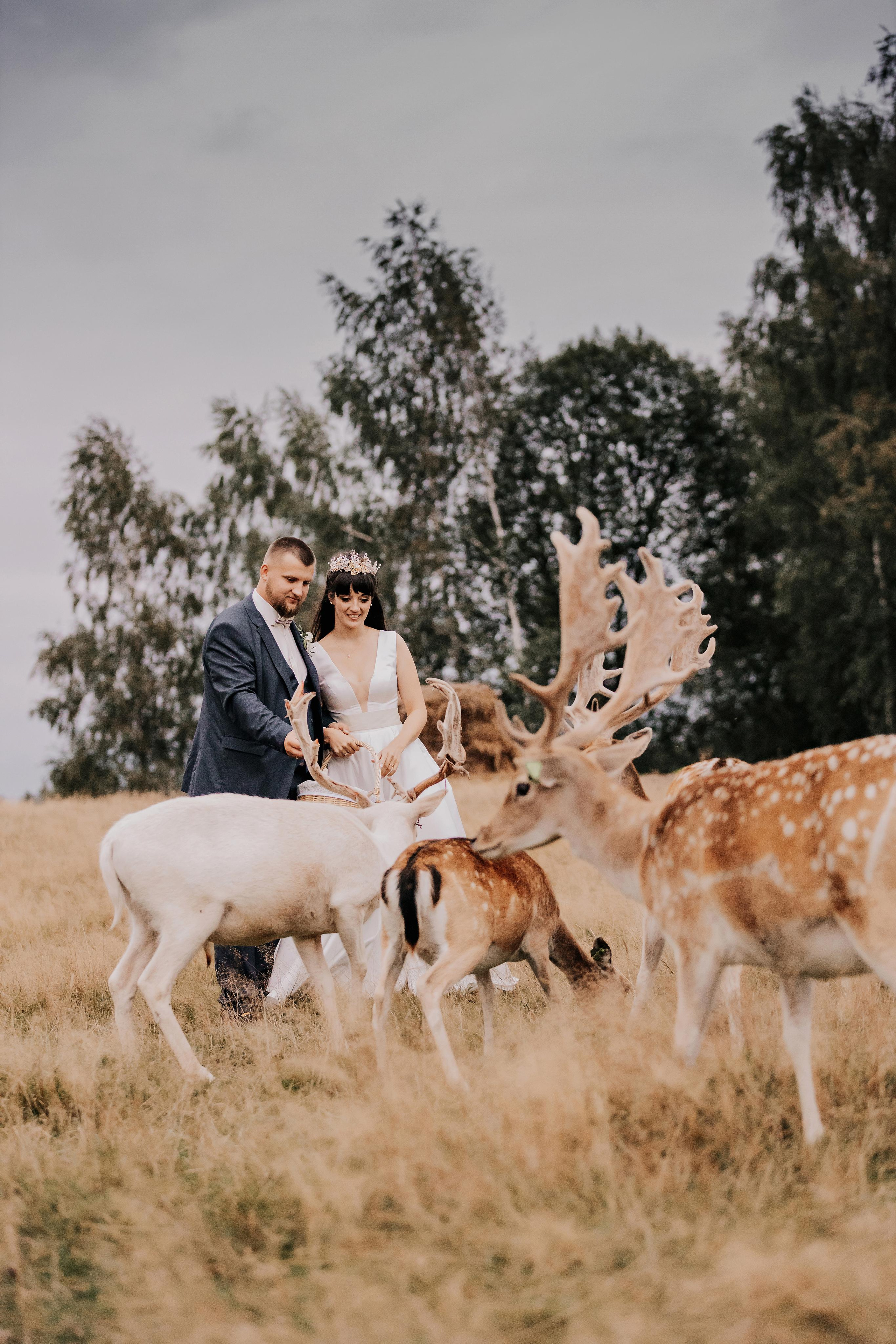 Justīne & Ivars. ФОТОГРАФ |ЛАТВИЯ | ДАУГАВПИЛС|