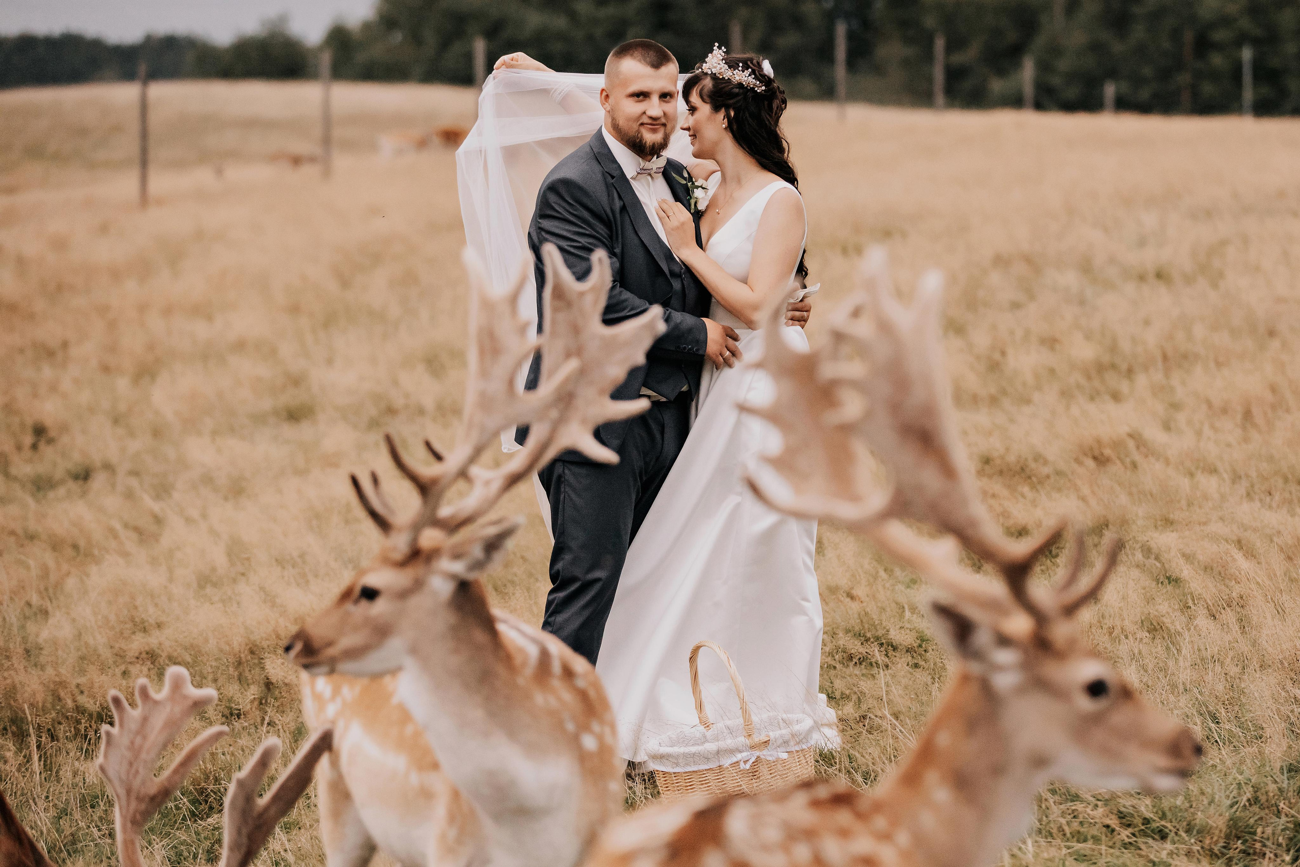 Justīne & Ivars. ФОТОГРАФ |ЛАТВИЯ | ДАУГАВПИЛС|