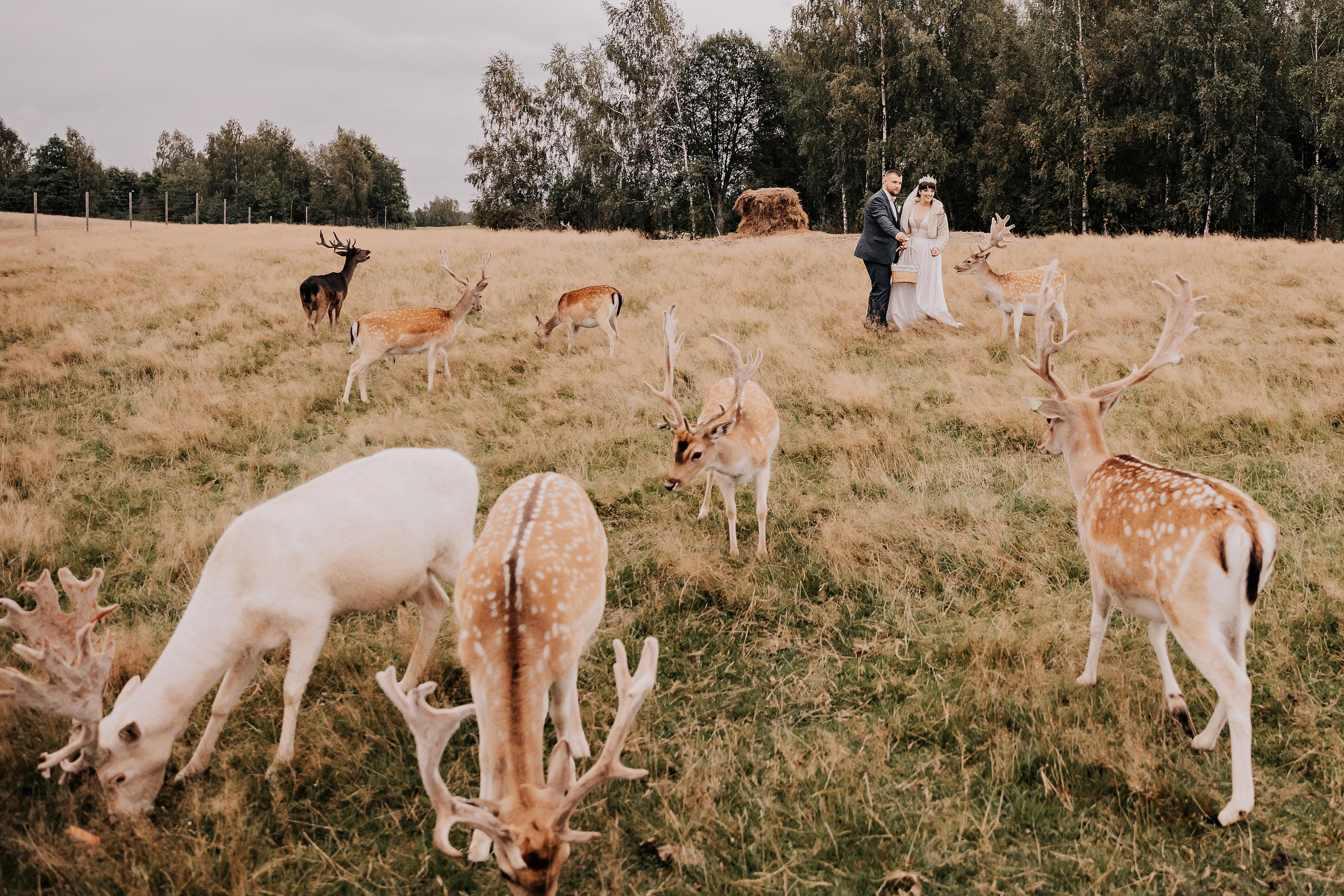 Justīne & Ivars. ФОТОГРАФ |ЛАТВИЯ | ДАУГАВПИЛС|