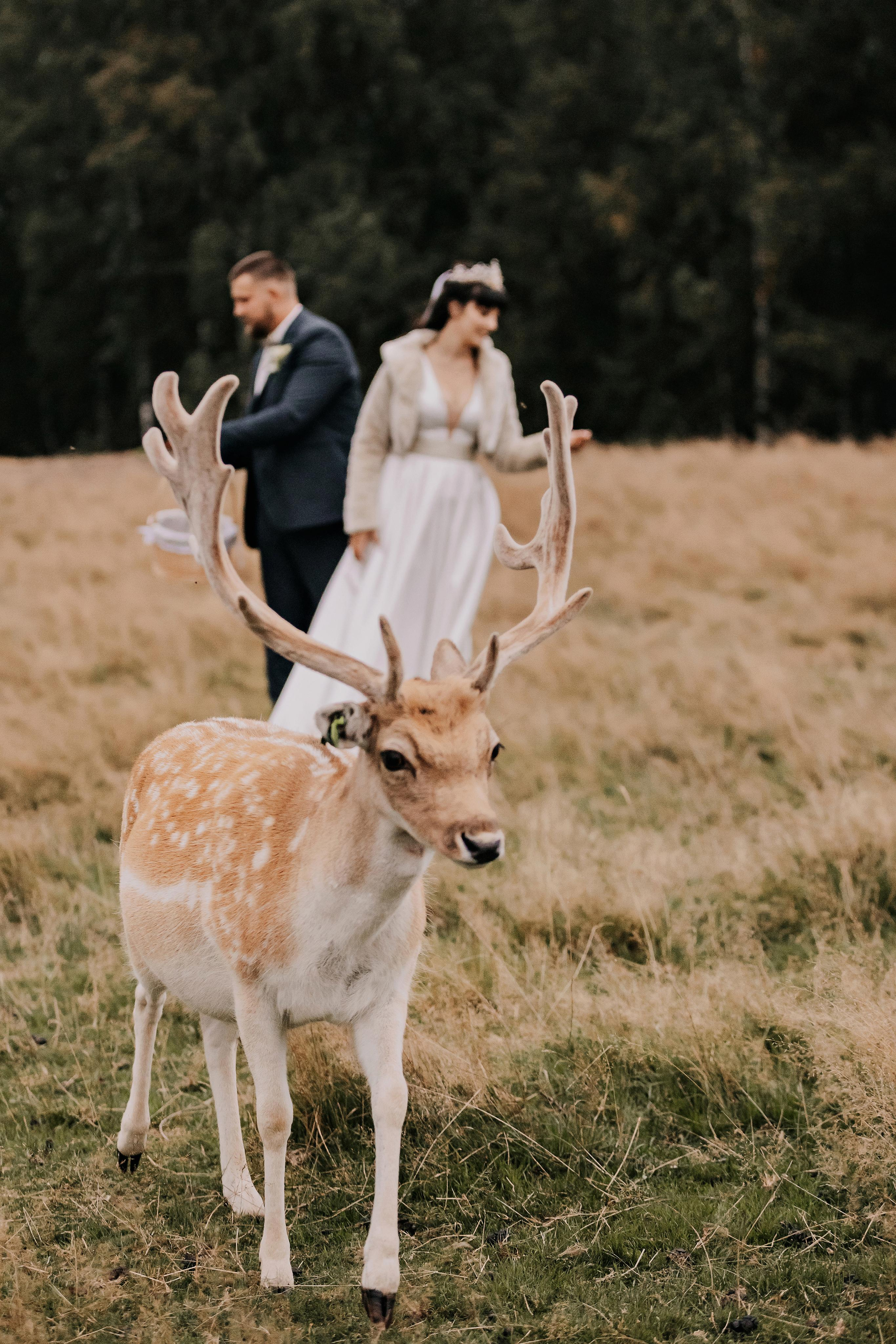 Justīne & Ivars. ФОТОГРАФ |ЛАТВИЯ | ДАУГАВПИЛС|