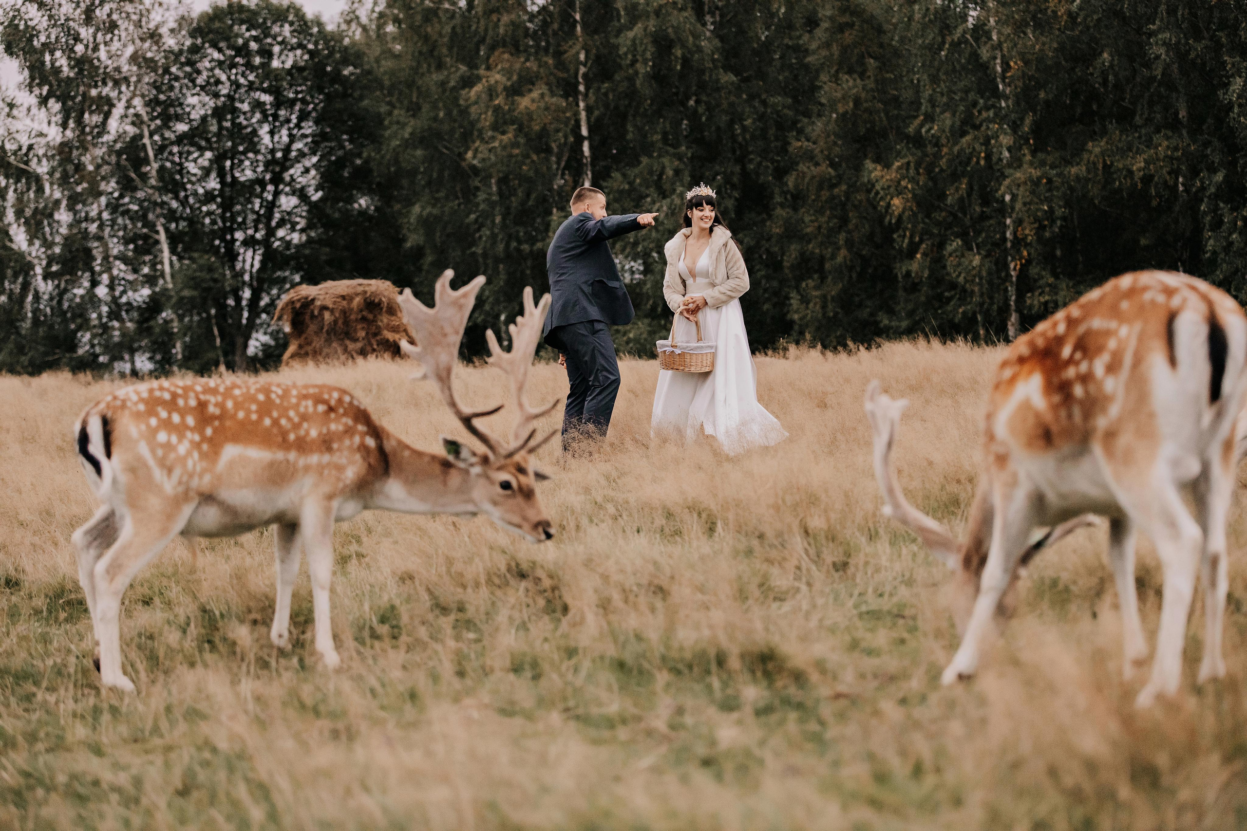 Justīne & Ivars. ФОТОГРАФ |ЛАТВИЯ | ДАУГАВПИЛС|