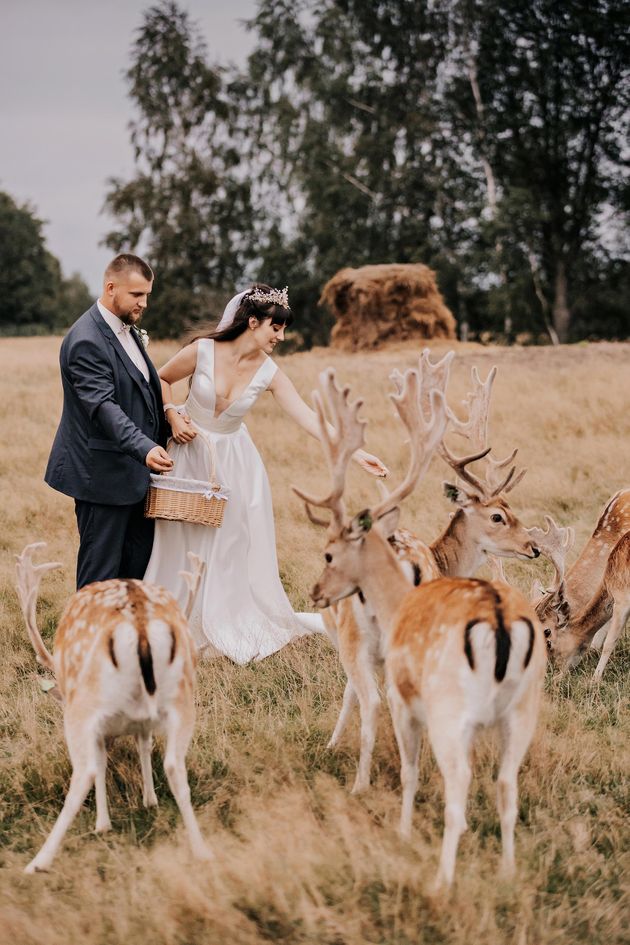 Justīne & Ivars. ФОТОГРАФ |ЛАТВИЯ | ДАУГАВПИЛС|