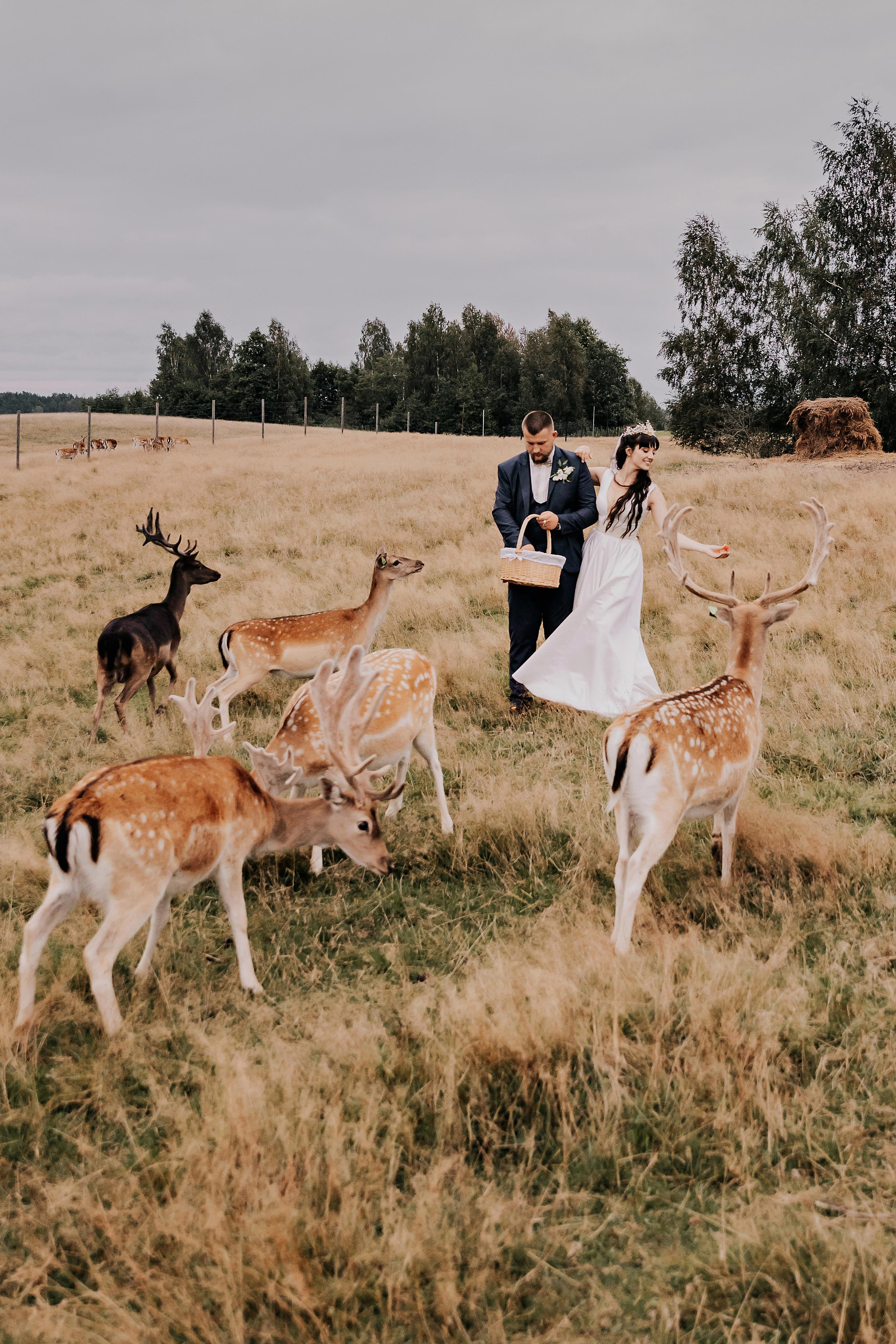 Justīne & Ivars. ФОТОГРАФ |ЛАТВИЯ | ДАУГАВПИЛС|