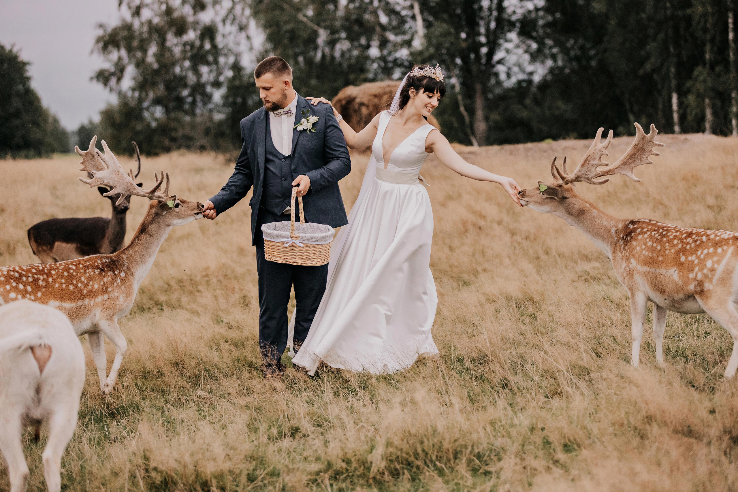 Justīne & Ivars. ФОТОГРАФ |ЛАТВИЯ | ДАУГАВПИЛС|