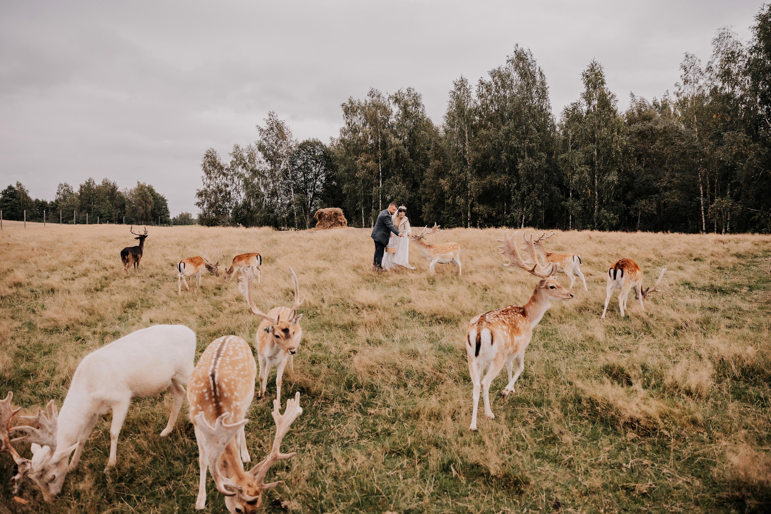 Justīne & Ivars. ФОТОГРАФ |ЛАТВИЯ | ДАУГАВПИЛС|