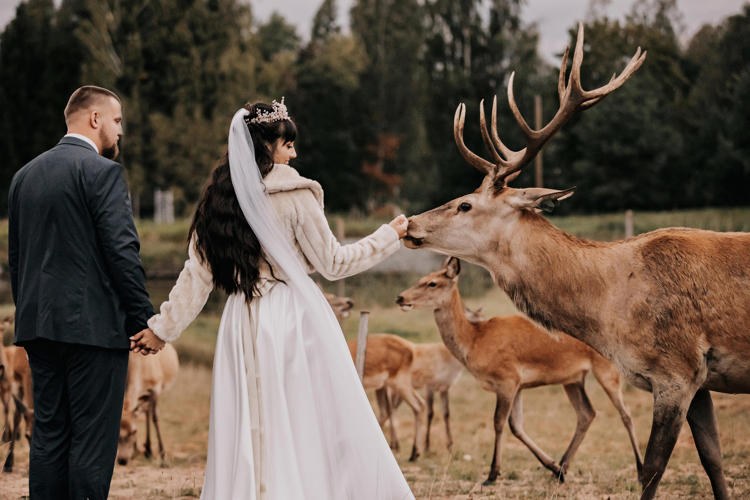 Justīne & Ivars. ФОТОГРАФ |ЛАТВИЯ | ДАУГАВПИЛС|