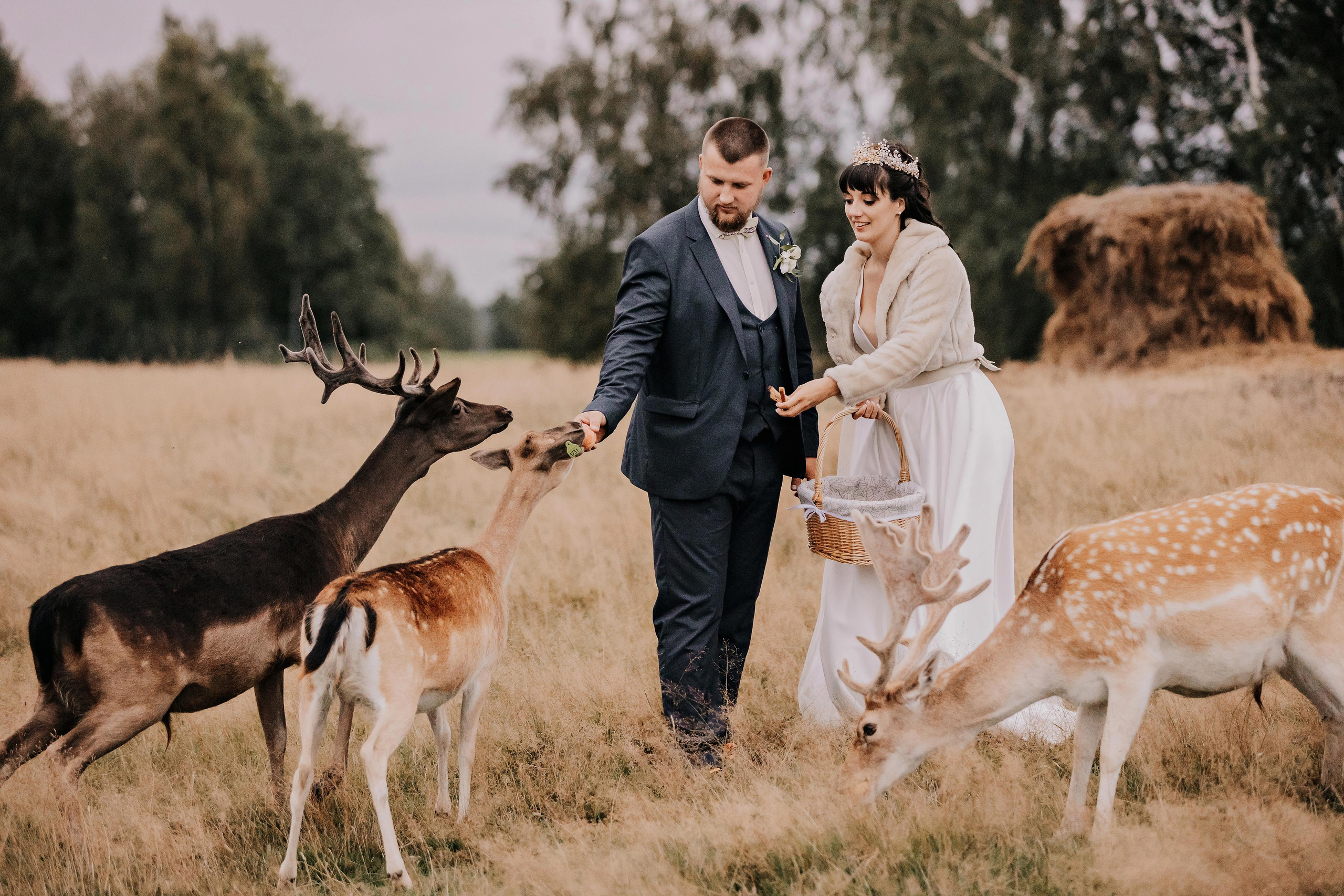 Justīne & Ivars. ФОТОГРАФ |ЛАТВИЯ | ДАУГАВПИЛС|