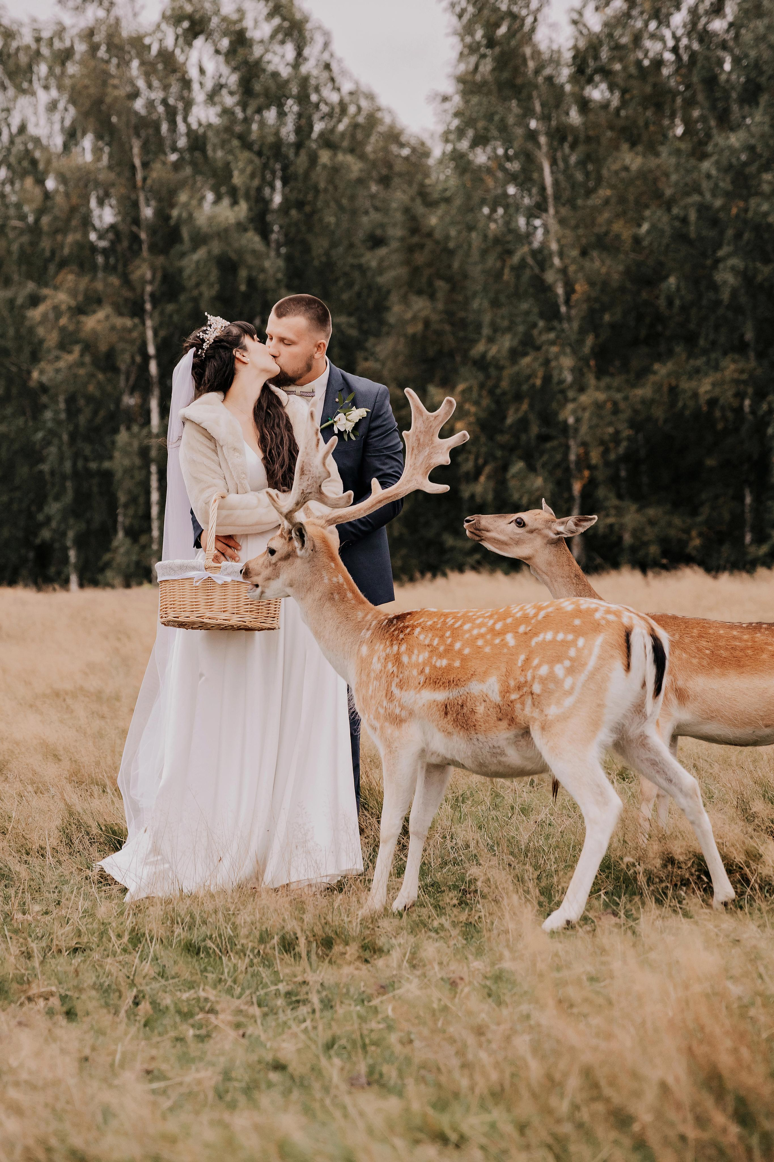 Justīne & Ivars. ФОТОГРАФ |ЛАТВИЯ | ДАУГАВПИЛС|