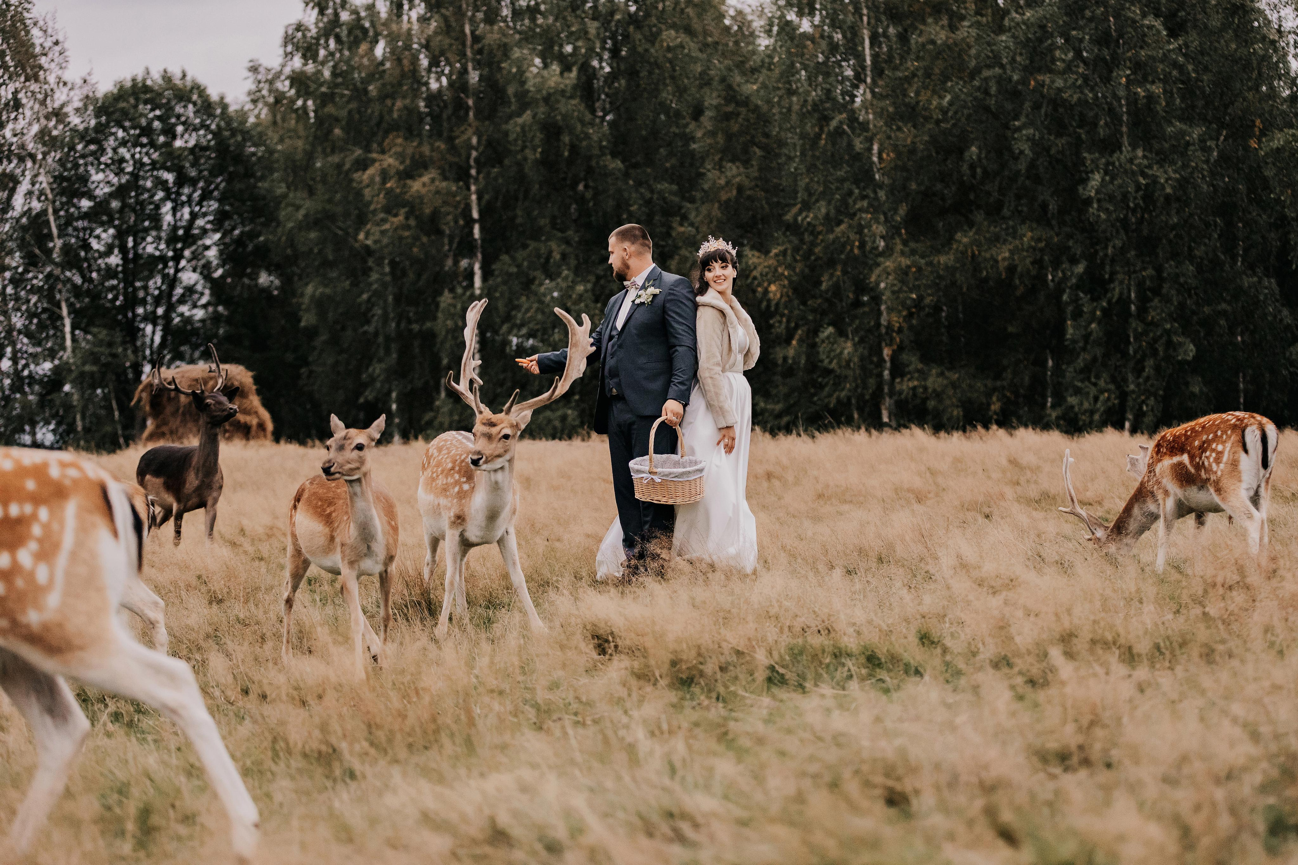 Justīne & Ivars. ФОТОГРАФ |ЛАТВИЯ | ДАУГАВПИЛС|